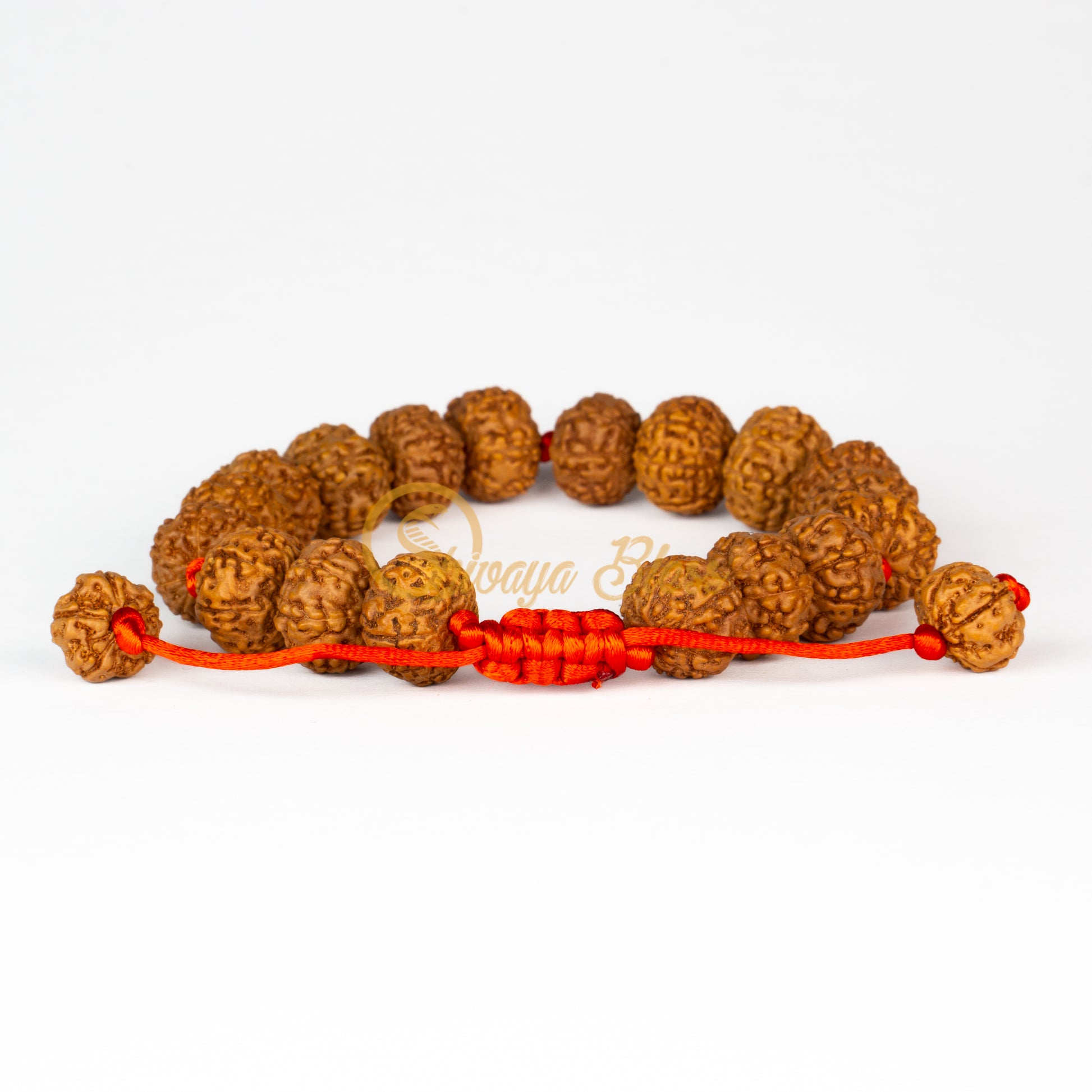 Front view of a small adjustable ASEAN 7 mukhi Rudraksha bracelet, displayed against a white background