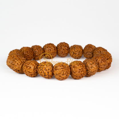 Front view of a small elastic ASEAN 7 mukhi Rudraksha bracelet, displayed against a white background