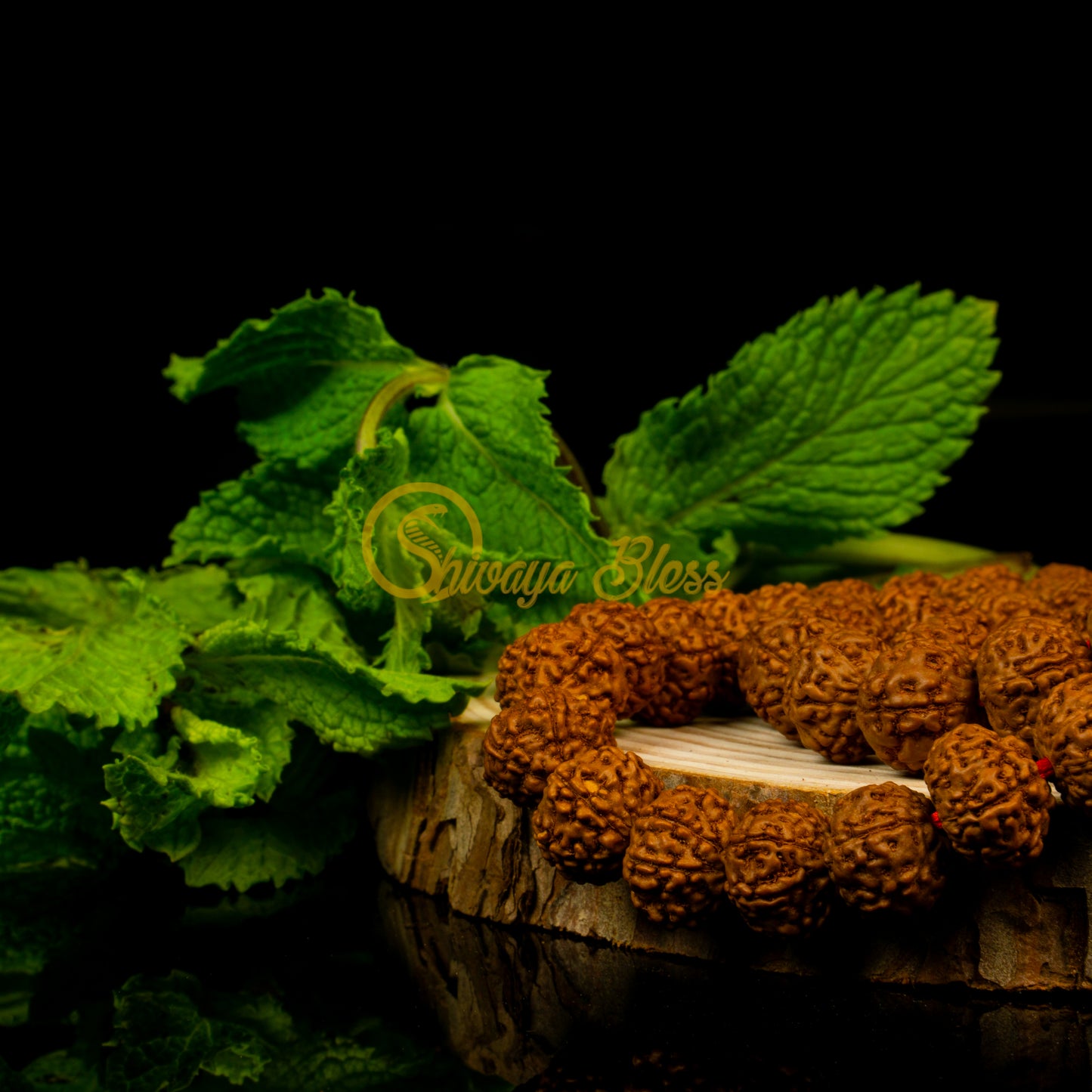 Close-up view of a small ASEAN 7 mukhi Rudraksha mala necklace on a wooden slice, displayed against a black background