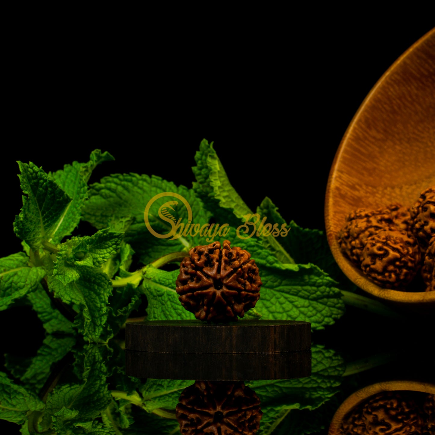 Front view of a large Nepal 7 mukhi Rudraksha bead, displayed against a black background