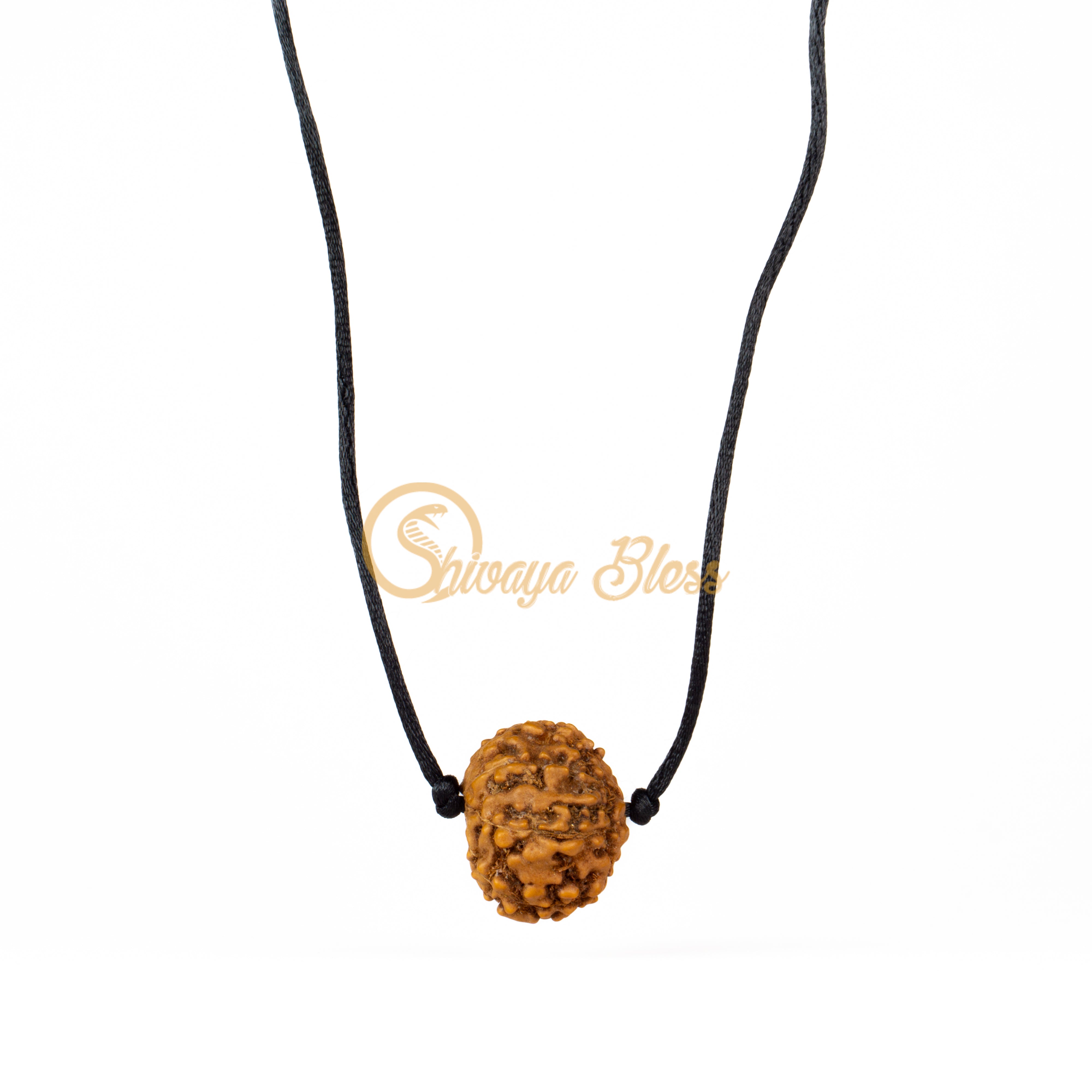 8 Face Rudraksha Pendant Necklace