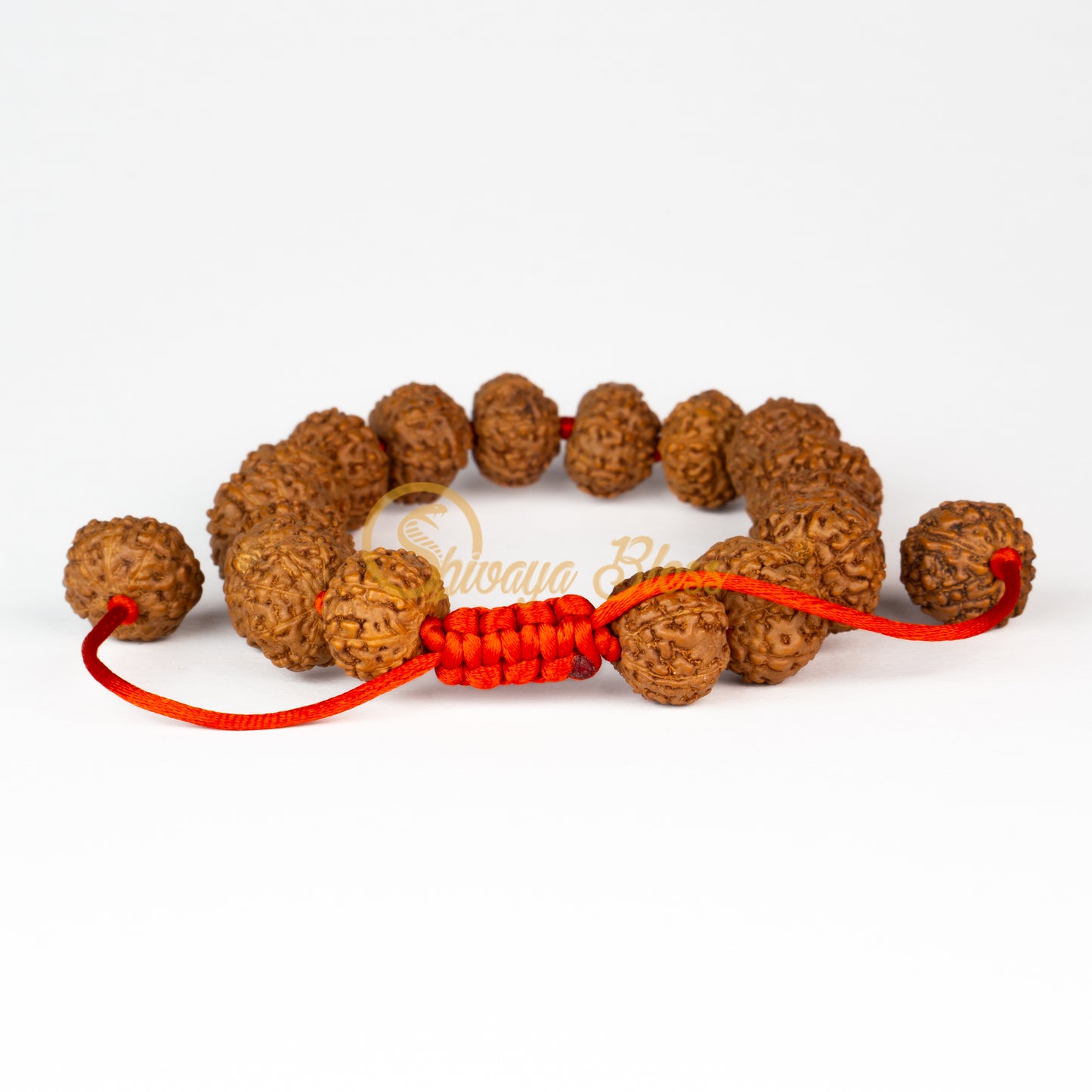 Front view of a small adjustable ASEAN 8 mukhi Rudraksha bracelet, displayed against a white background
