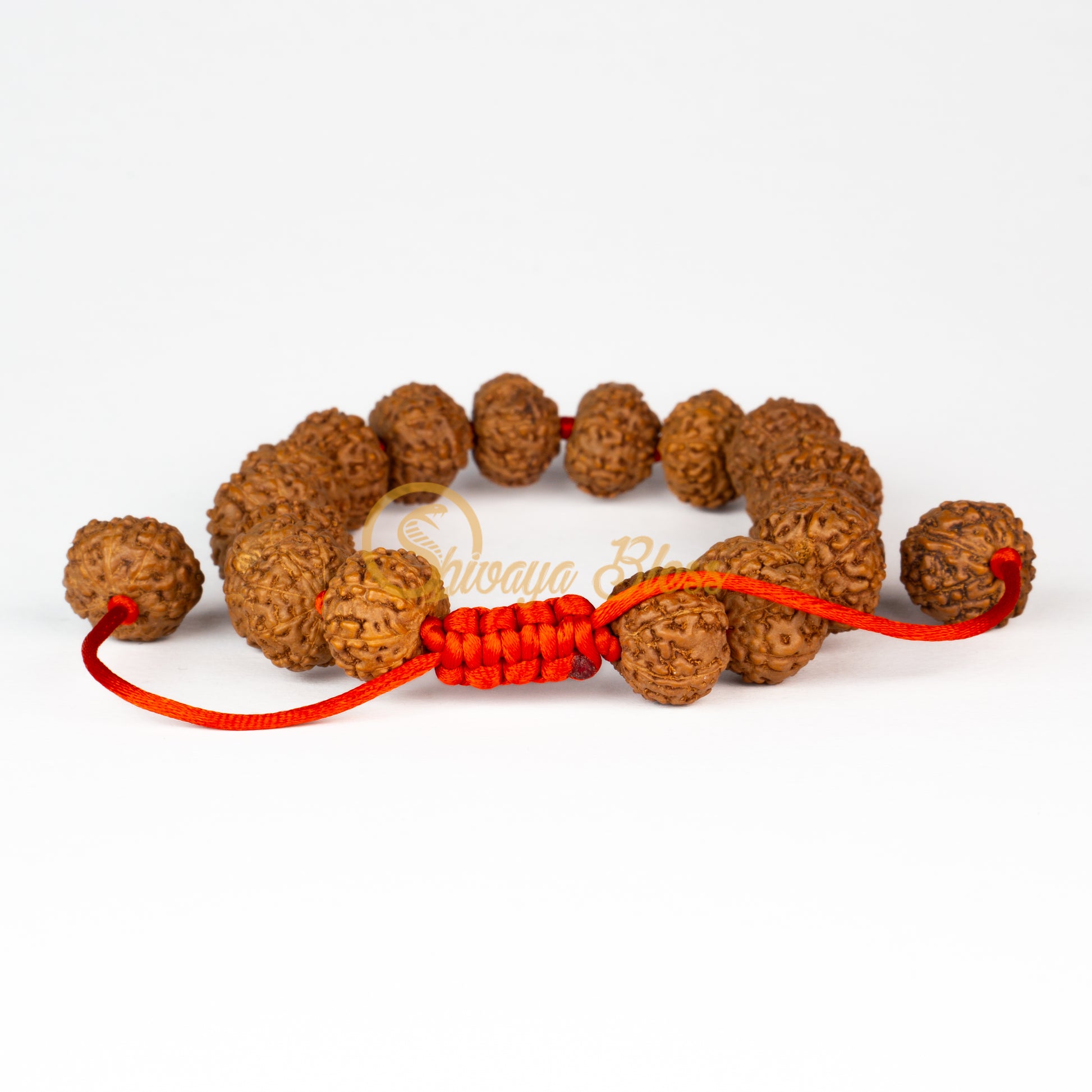Front view of a small adjustable ASEAN 8 mukhi Rudraksha bracelet, displayed against a white background