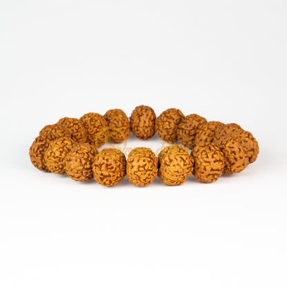 Front view of a small elastic ASEAN 8 mukhi Rudraksha bracelet, displayed against a white background