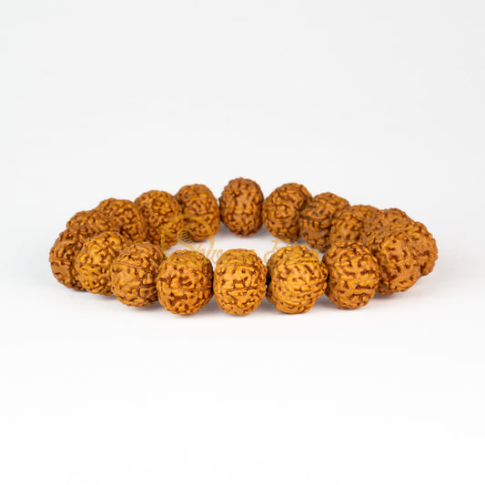 Front view of a small elastic ASEAN 8 mukhi Rudraksha bracelet, displayed against a white background