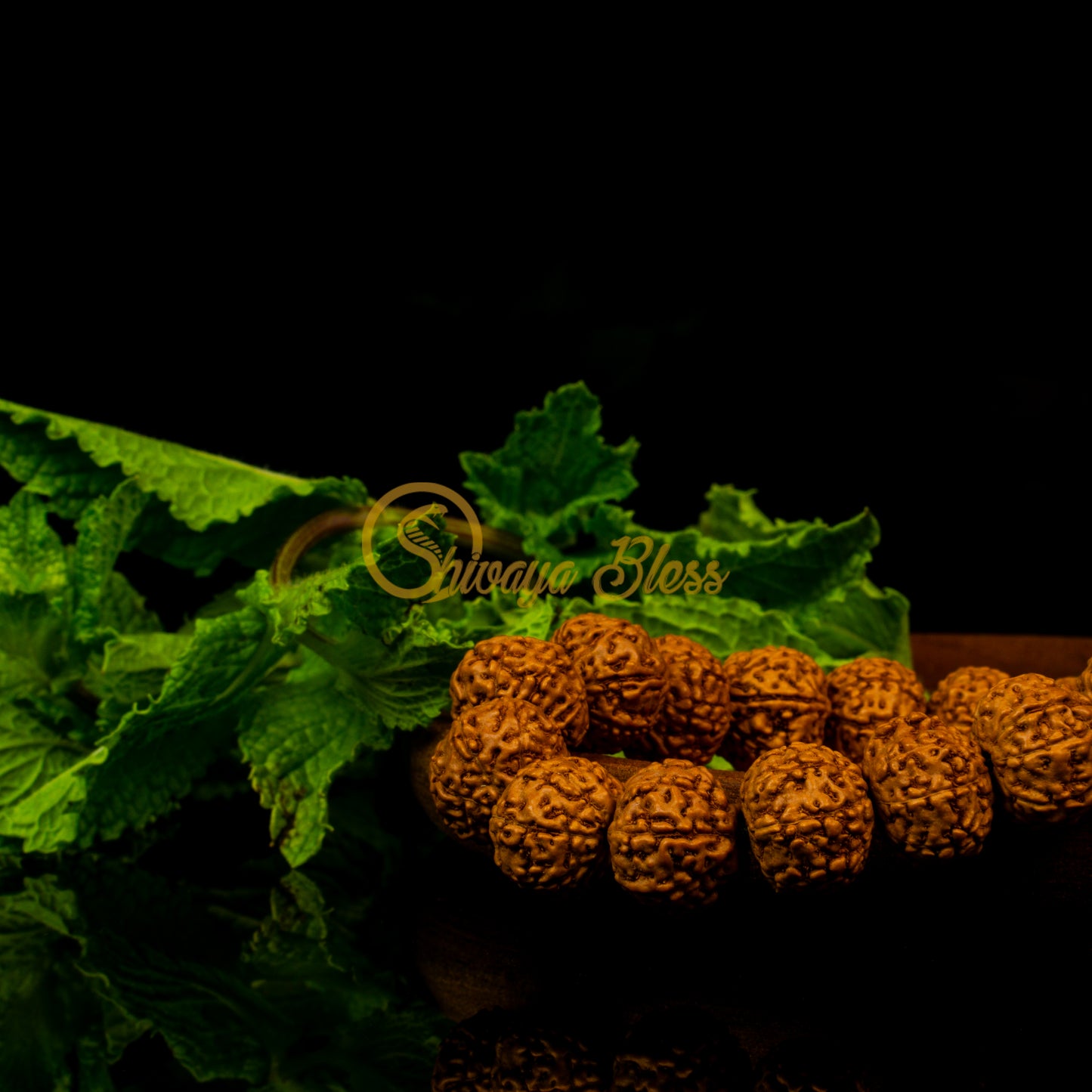 Close-up view of a small ASEAN 8 mukhi Rudraksha bracelet on a wooden plate, displayed against a black background