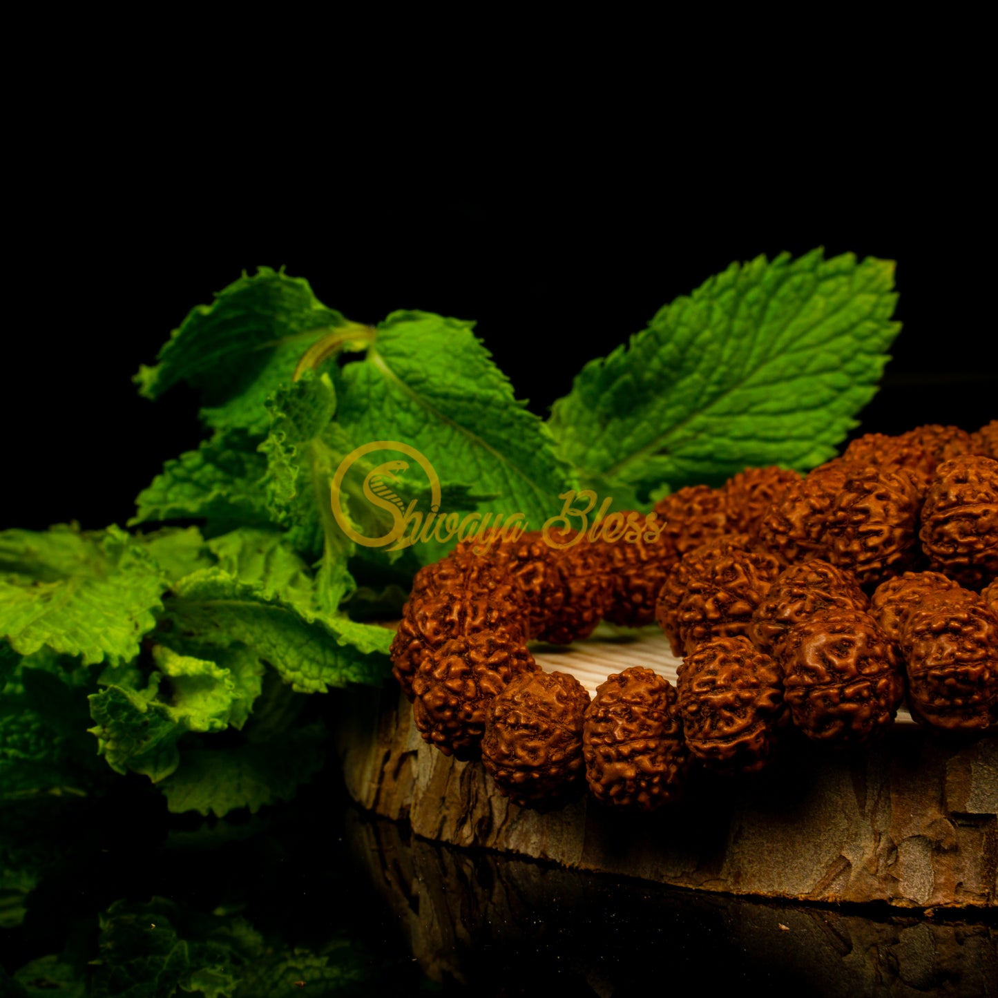 Close-up view of a small ASEAN 8 mukhi Rudraksha mala necklace on a wooden slice, displayed against a black background