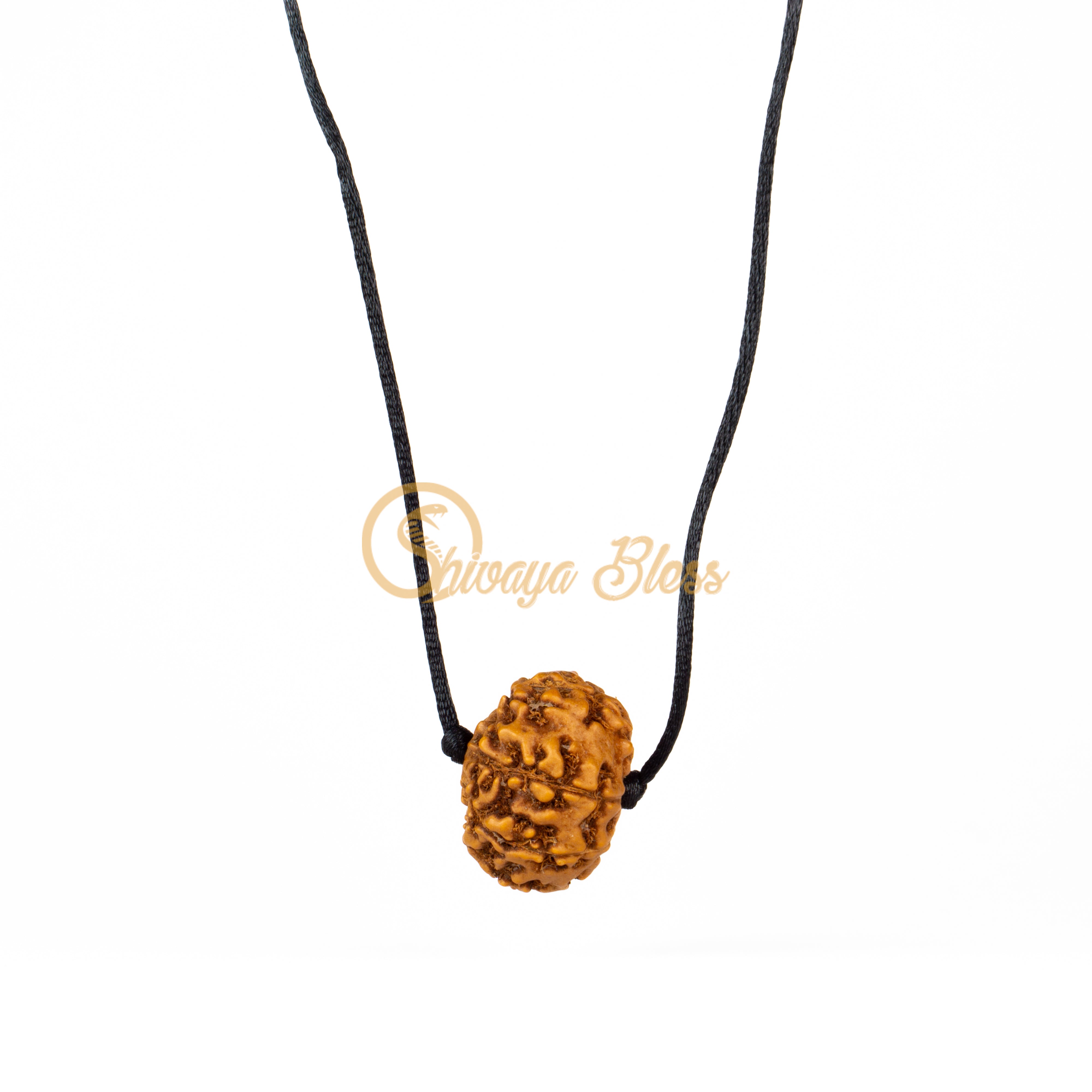 9 Face Rudraksha Pendant Necklace