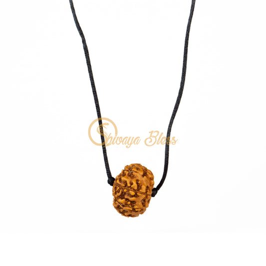 9 Mukhi Rudraksha Pendant