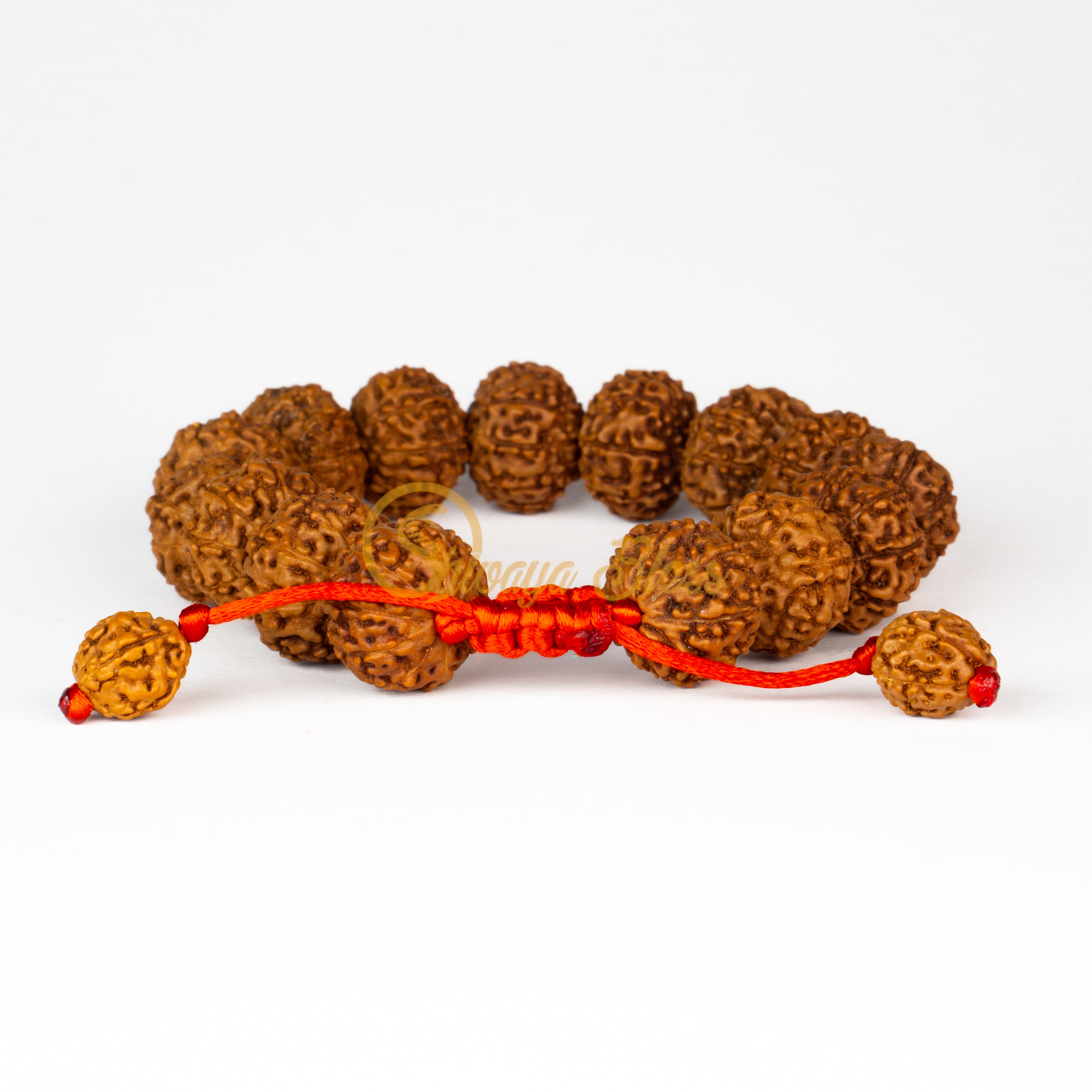 Front view of a small adjustable ASEAN 9 mukhi Rudraksha bracelet, displayed against a white background