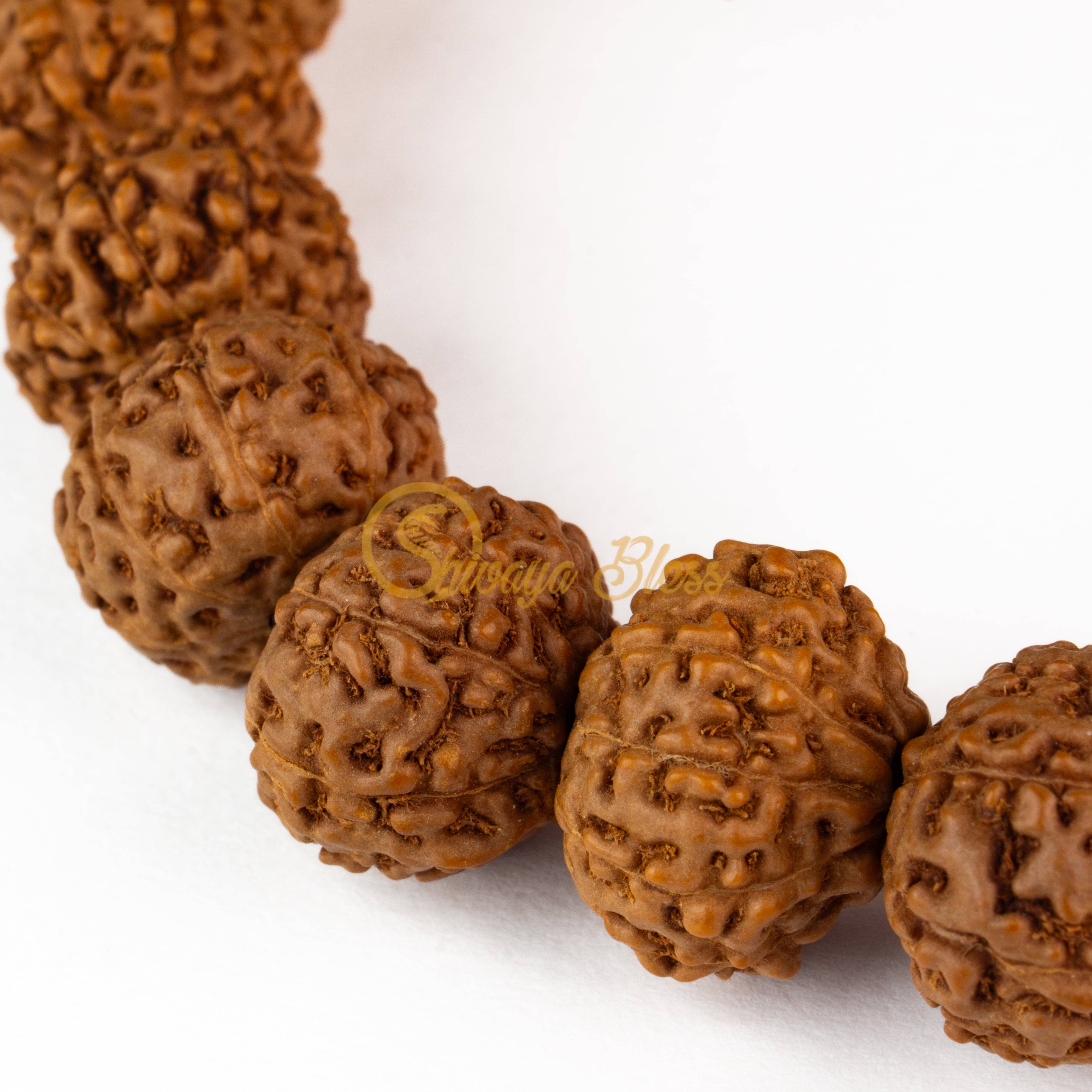 Close-up view of a small ASEAN 9 mukhi Rudraksha bracelet, displayed against a white background