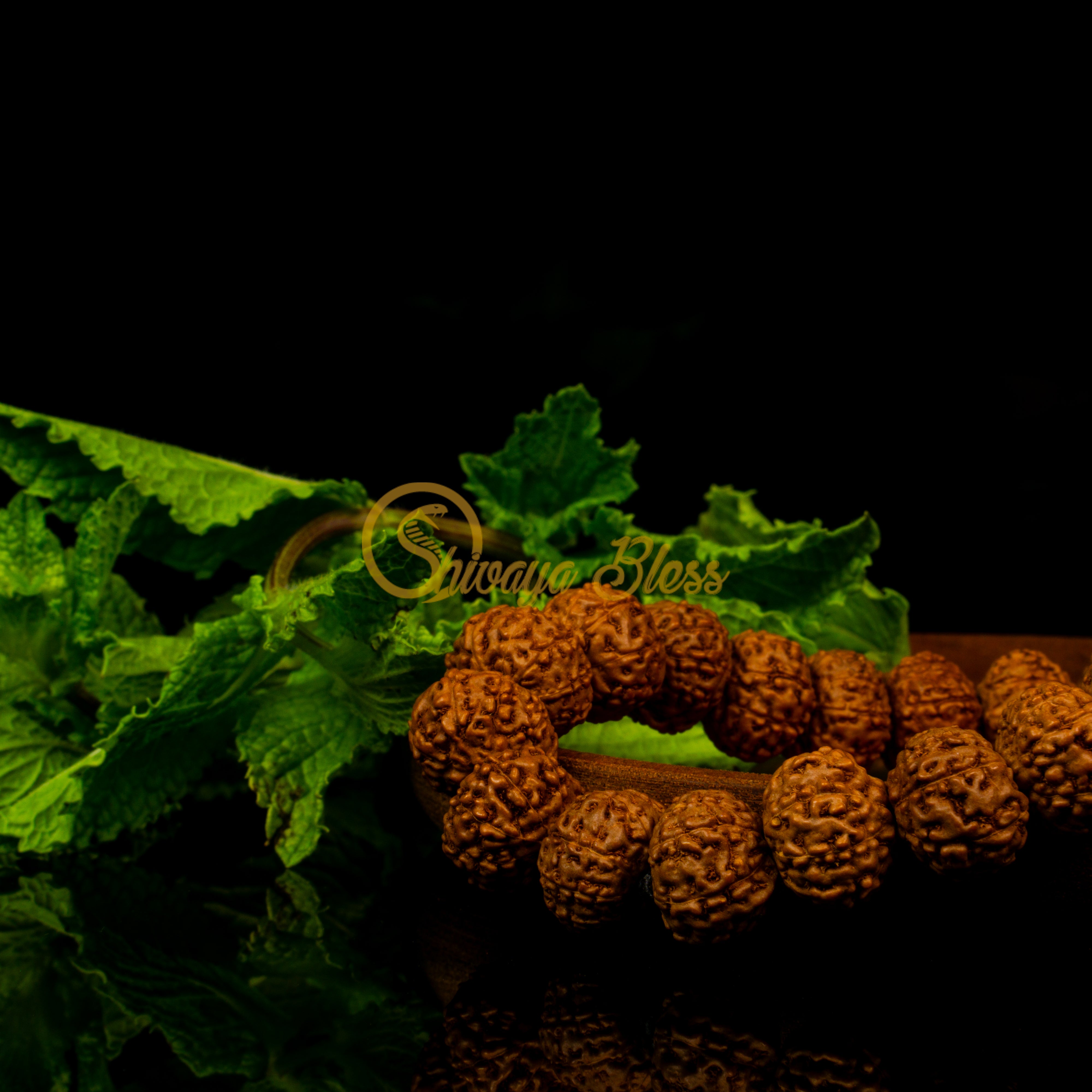 Close-up view of a small ASEAN 9 mukhi Rudraksha bracelet on a wooden plate, displayed against a black background