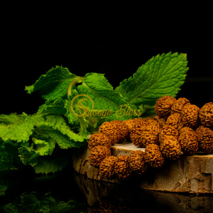 Close-up view of a small ASEAN 9 mukhi Rudraksha mala necklace on a wooden slice, displayed against a black background