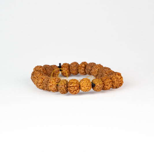 Dhanusu Rasi Rudraksha Bracelet