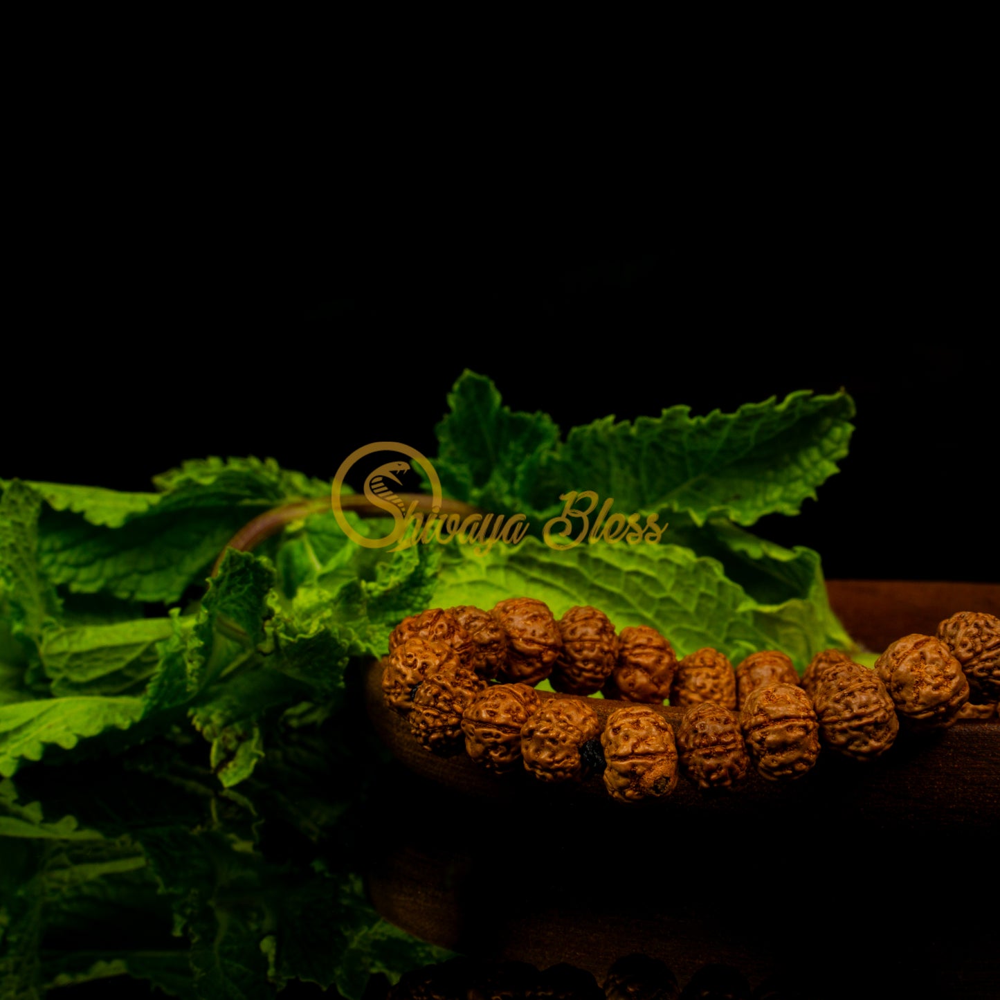 Dhanusu Rashi Rudraksha Bracelet | Shivaya Bless