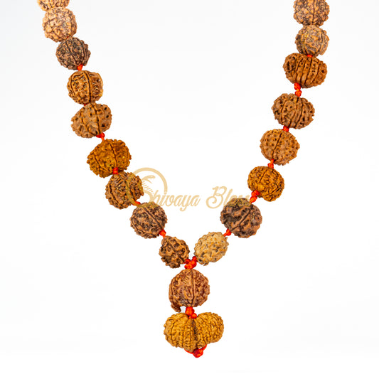 Feng Shui Rudraksha Mala Necklace