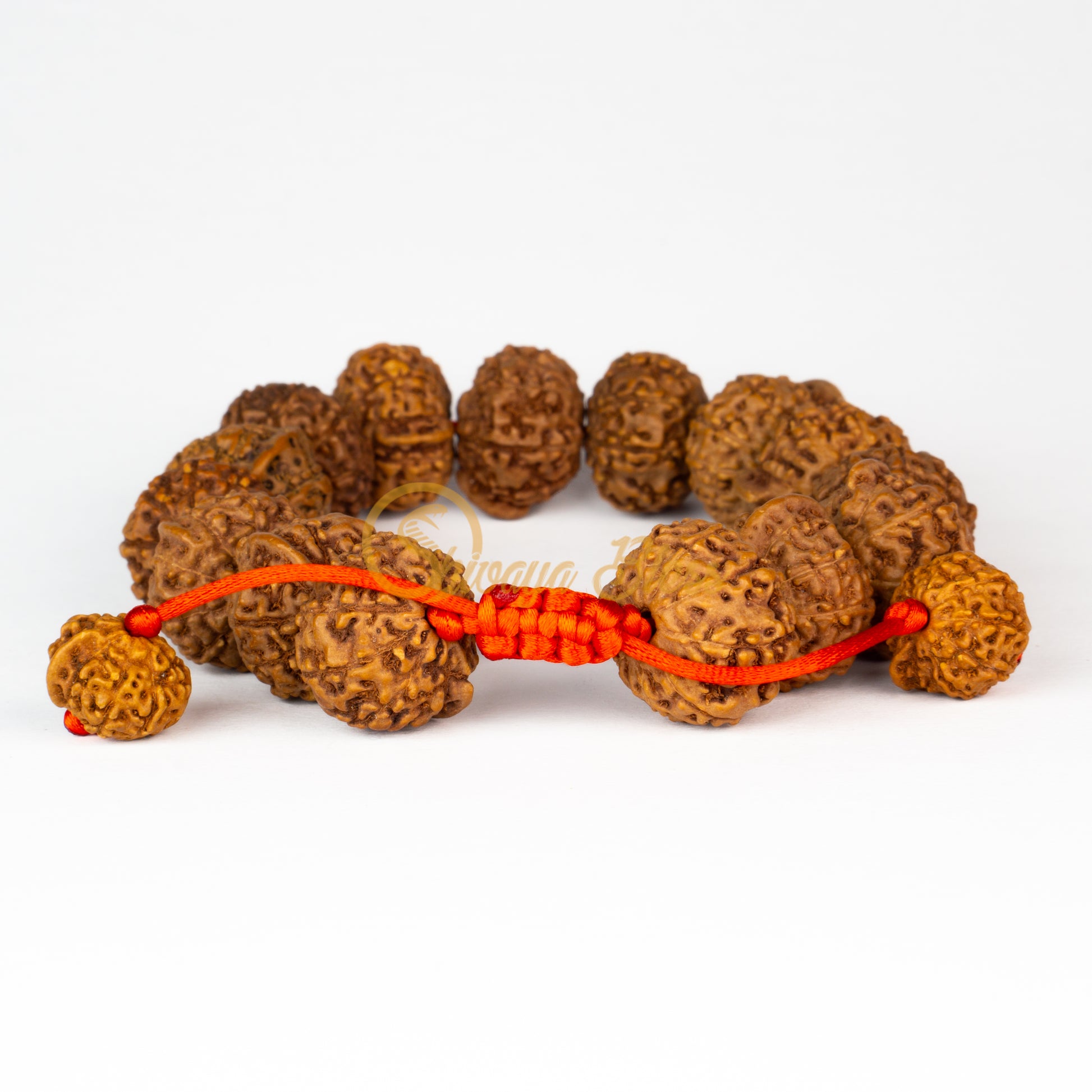 Front view of a large adjustable ASEAN Ganesh Rudraksha bracelet, displayed against a white background