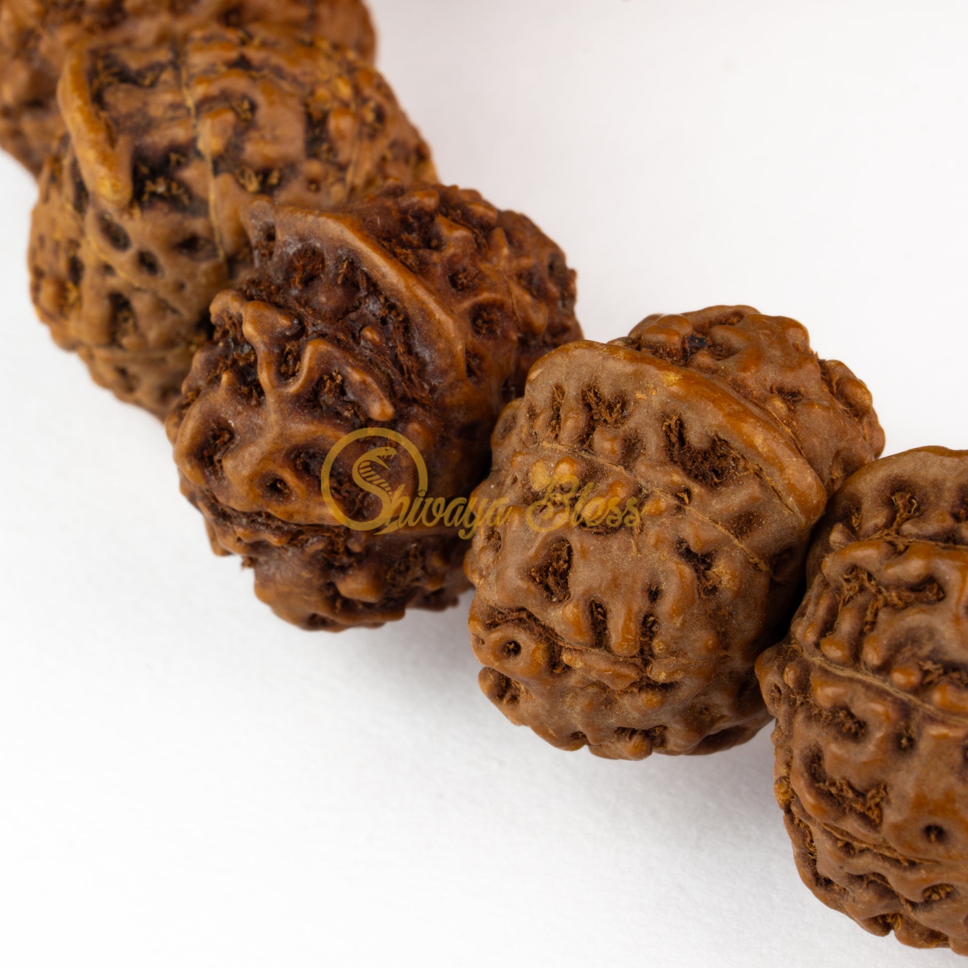 Close-up view of a large ASEAN Ganesh Rudraksha bracelet, displayed against a white background