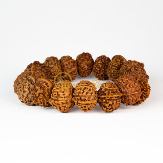 Front view of a large elastic ASEAN Ganesh Rudraksha bracelet, displayed against a white background