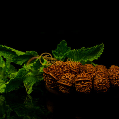 Close-up view of a large ASEAN Ganesh Rudraksha bracelet on a wooden plate, displayed against a black background