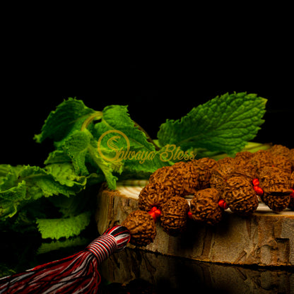 Close-up view of a small ASEAN Ganesha Rudraksha mala necklace on a wooden slice, displayed against a black background