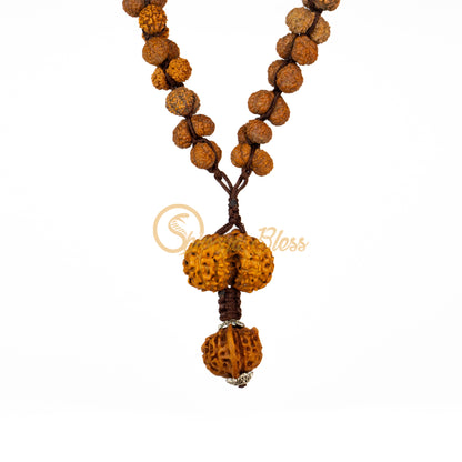 Front view of a grand ASEAN Gauri Shankar Rudraksha mala necklace, hanging against a white background