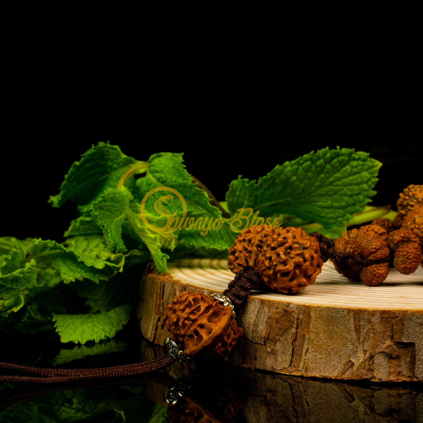 Close-up view of a grand ASEAN Gauri Shankar Rudraksha mala necklace on a wooden slice, displayed against a black background