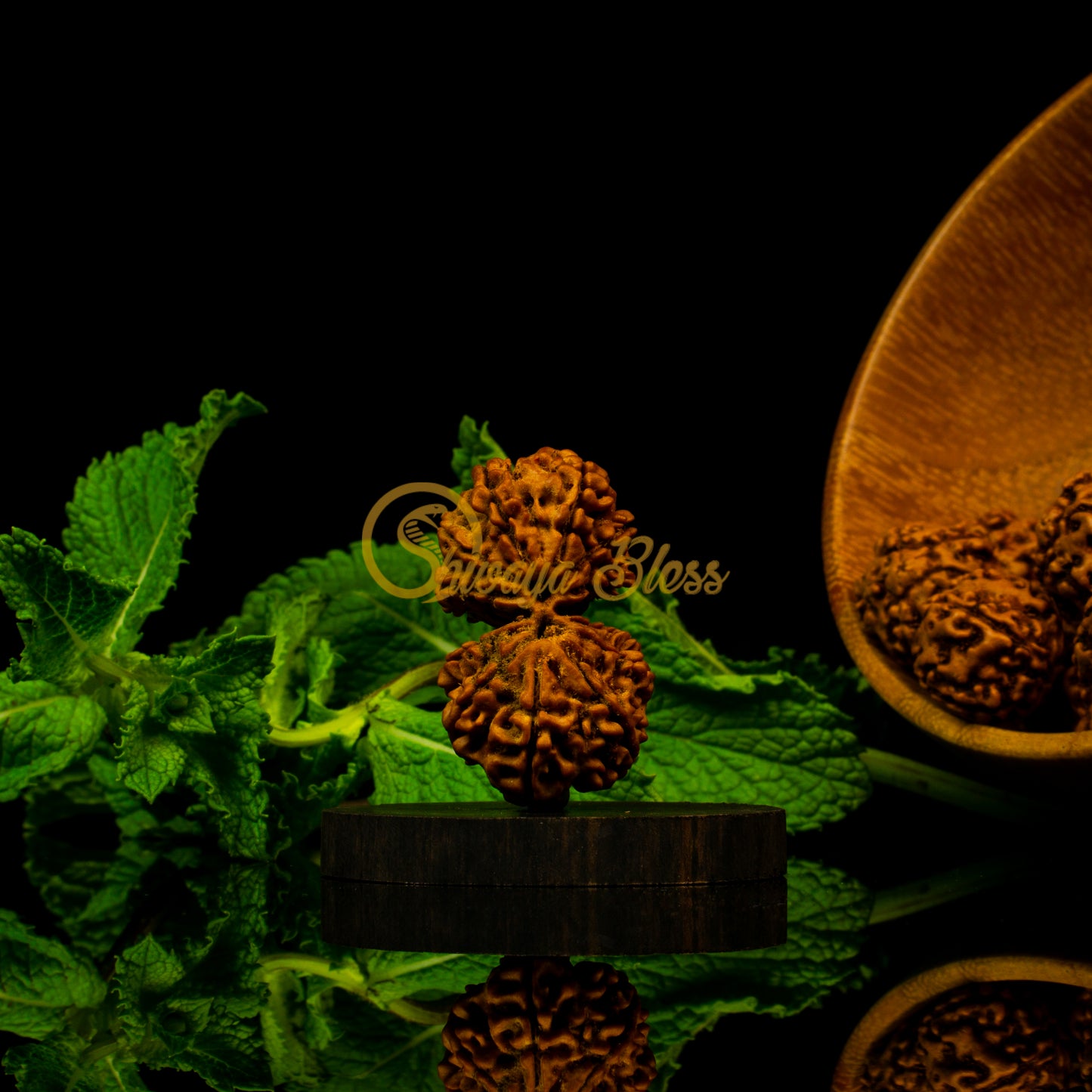 Front view of a large Nepal Gauri Shankar Rudraksha bead, displayed against a black background
