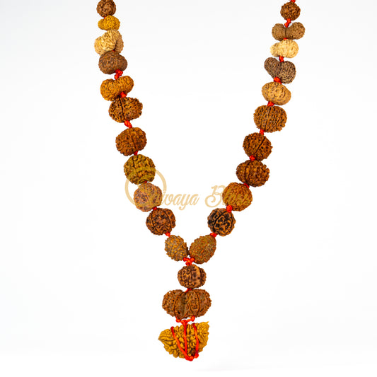 Indrakshi Supreme Rudraksha Mala Necklace