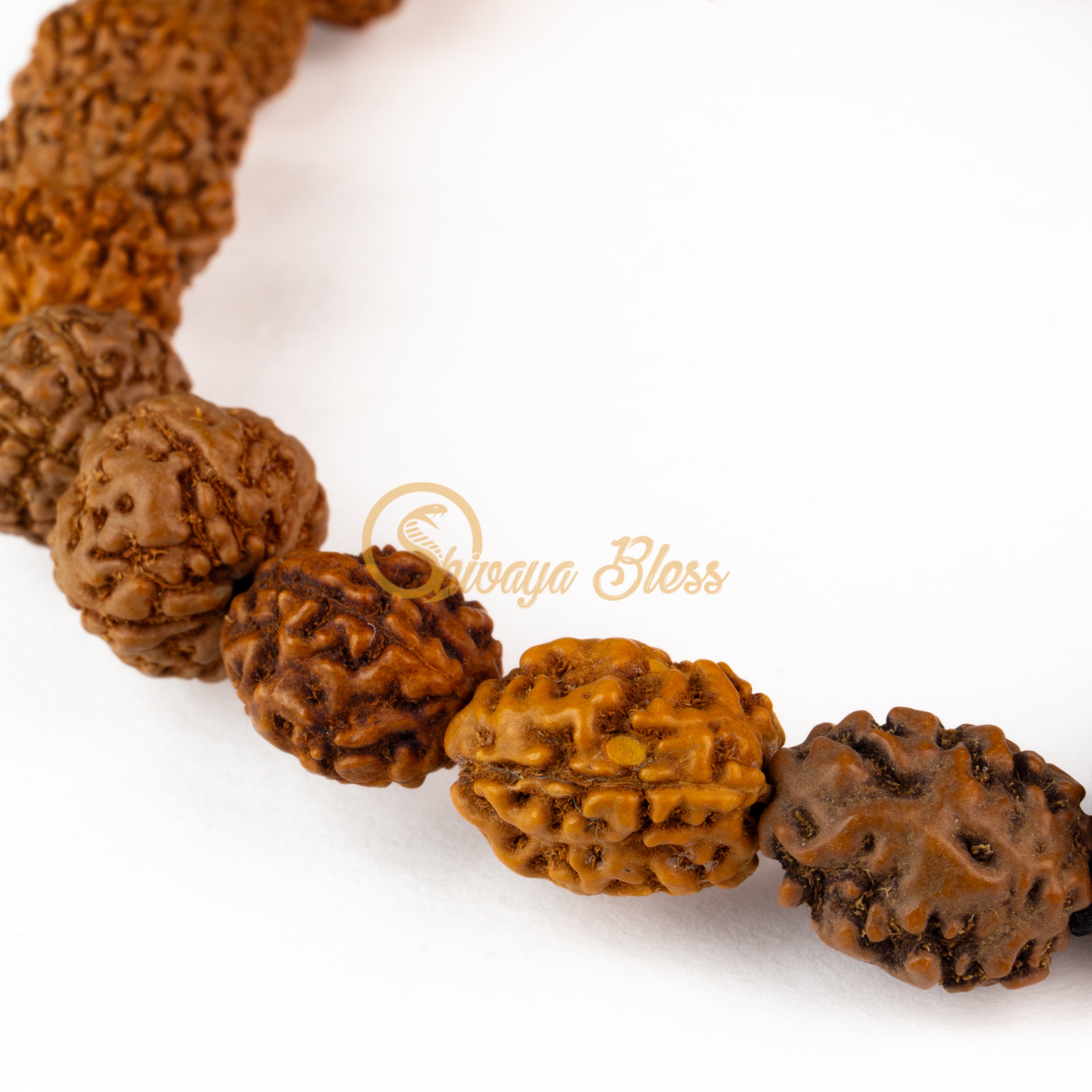 Cancer Zodiac Rudraksha Bracelet