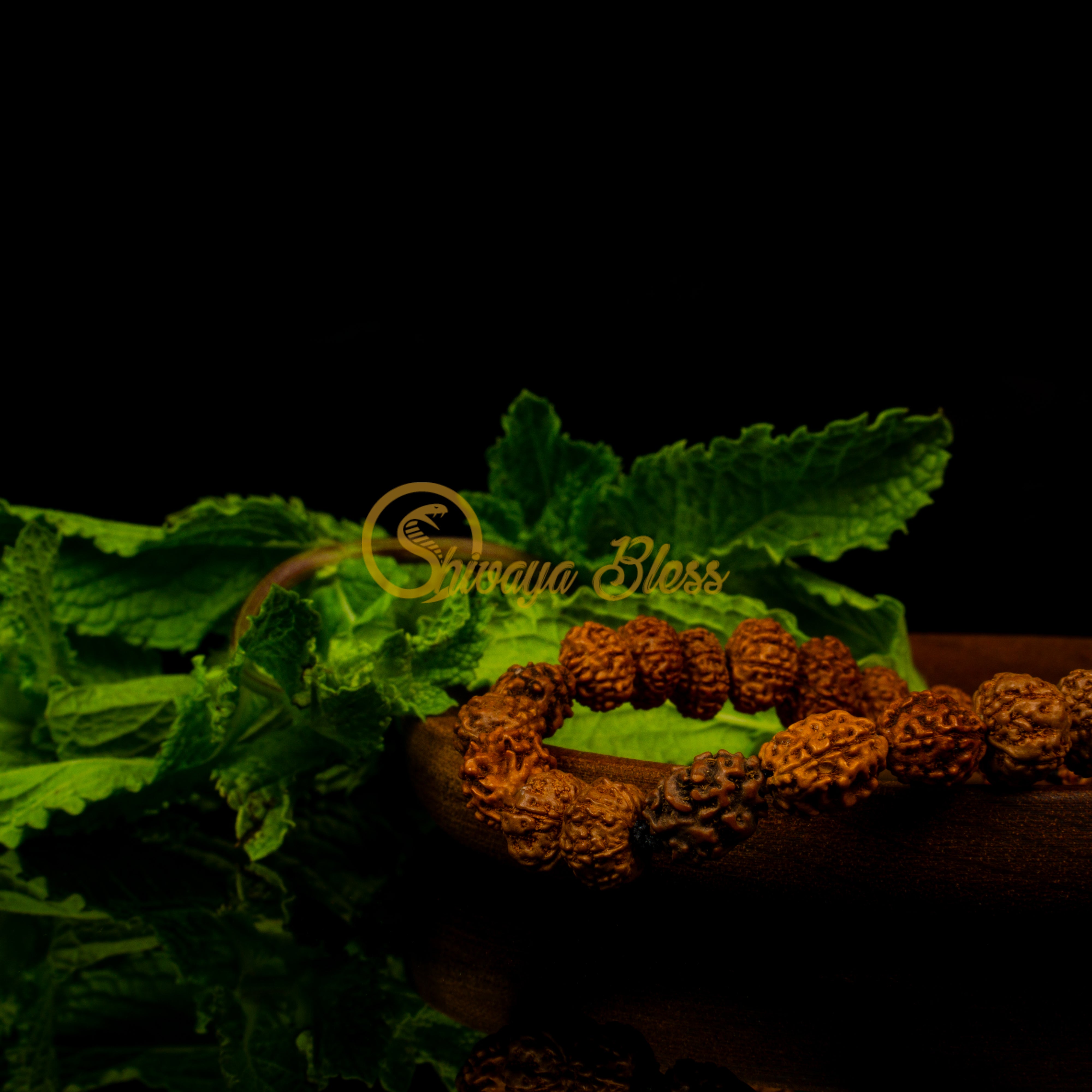 Cancer Zodiac Rudraksha Bracelet