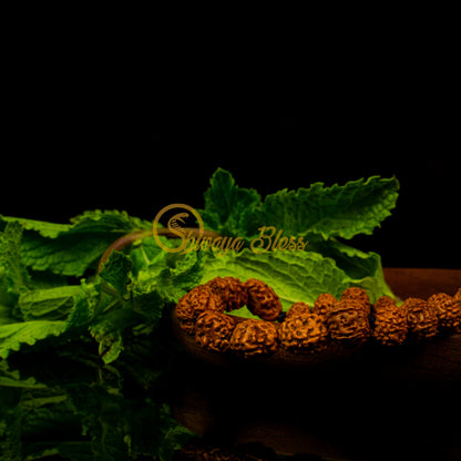 Kanni Rasi Rudraksha Bracelet