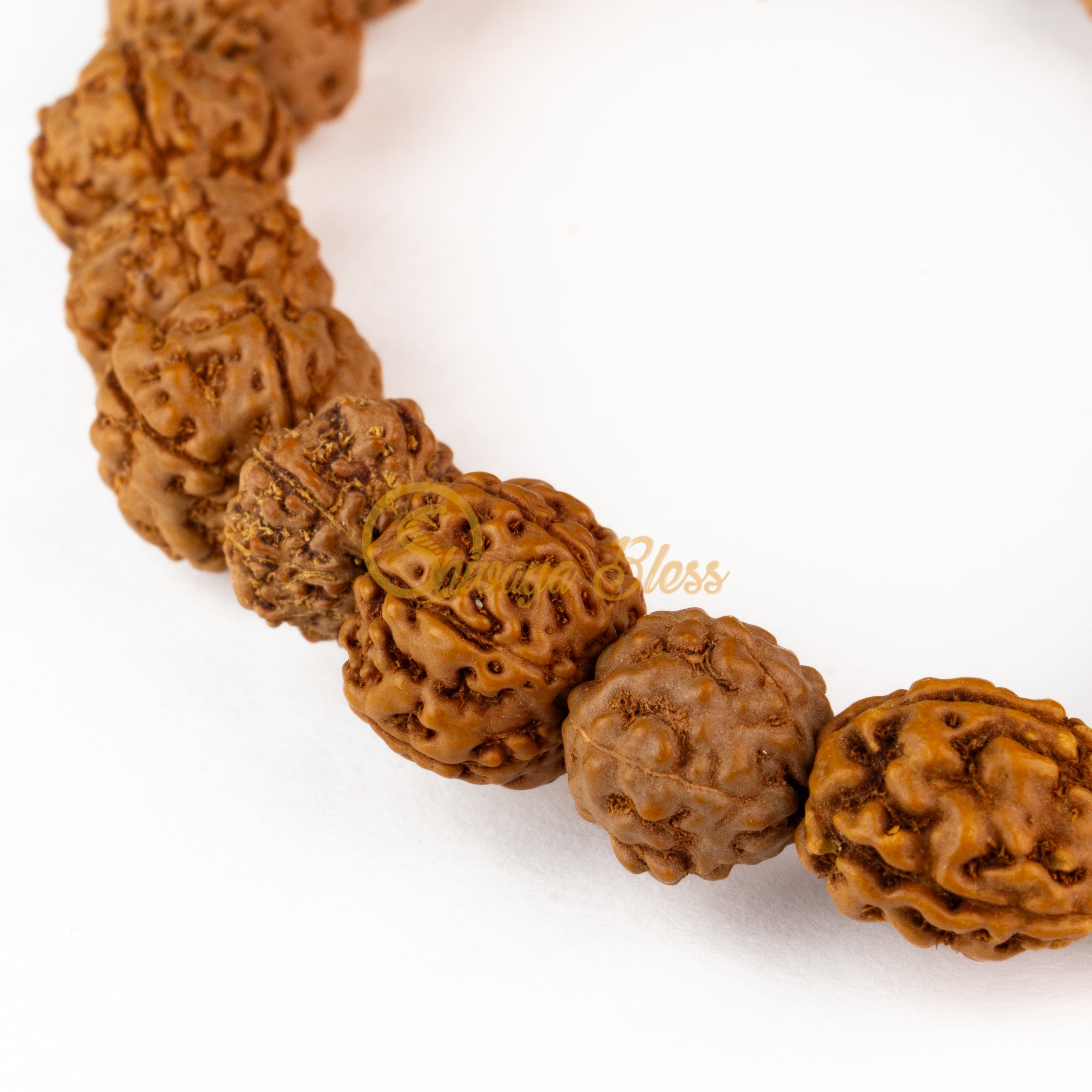 Aquarius Zodiac Rudraksha Pendant Necklace