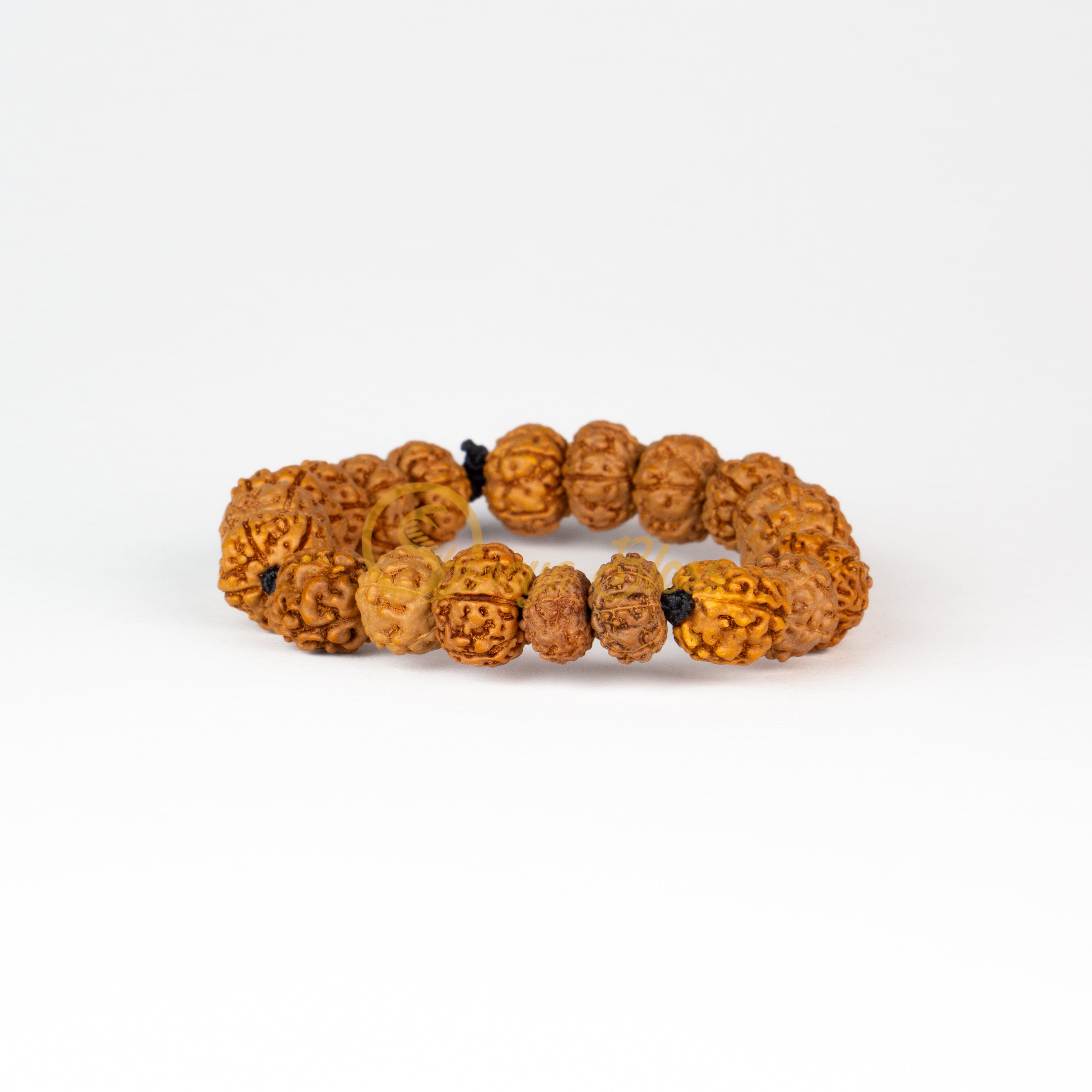 Aquarius Zodiac Rudraksha Pendant Necklace