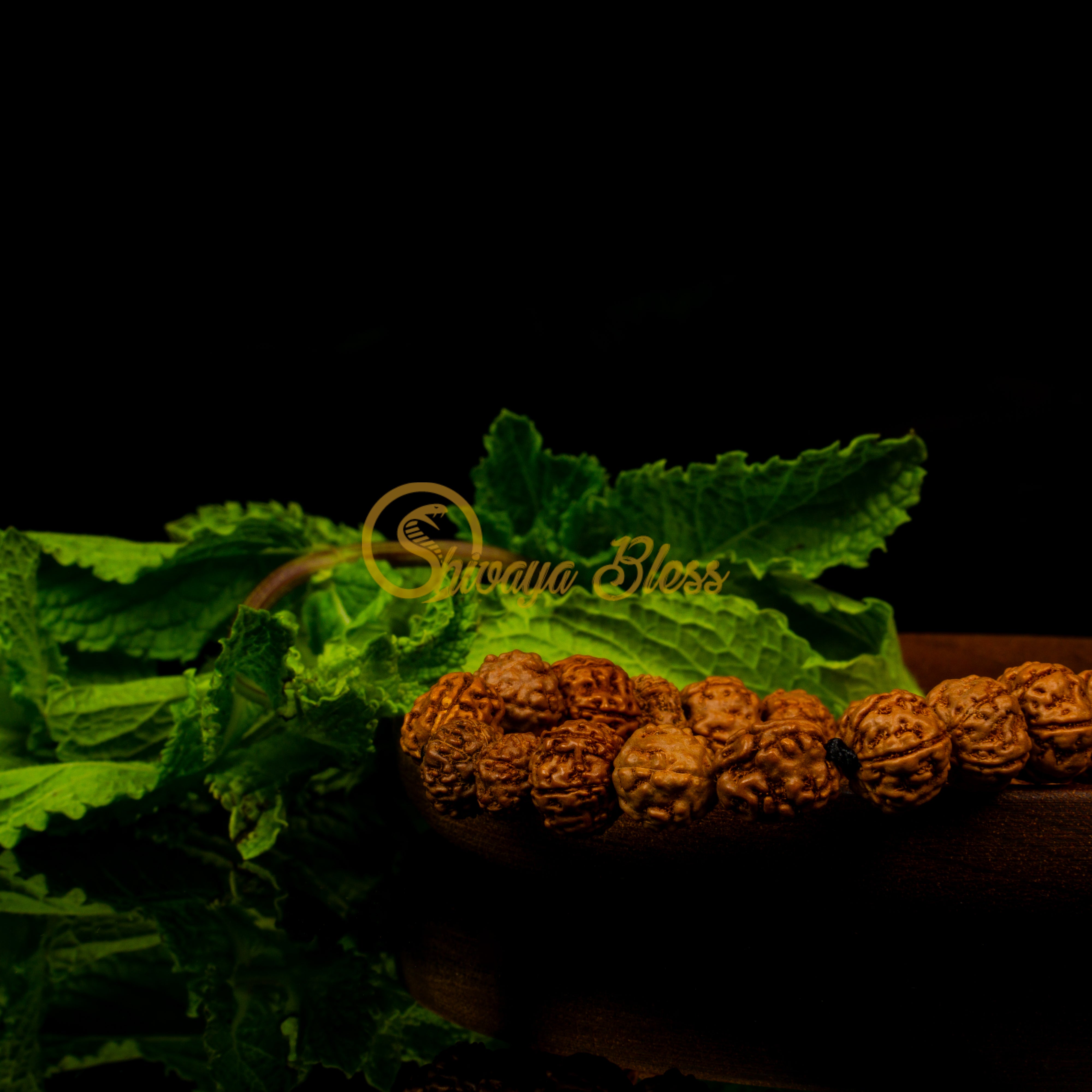 Aquarius Zodiac Rudraksha Pendant Necklace