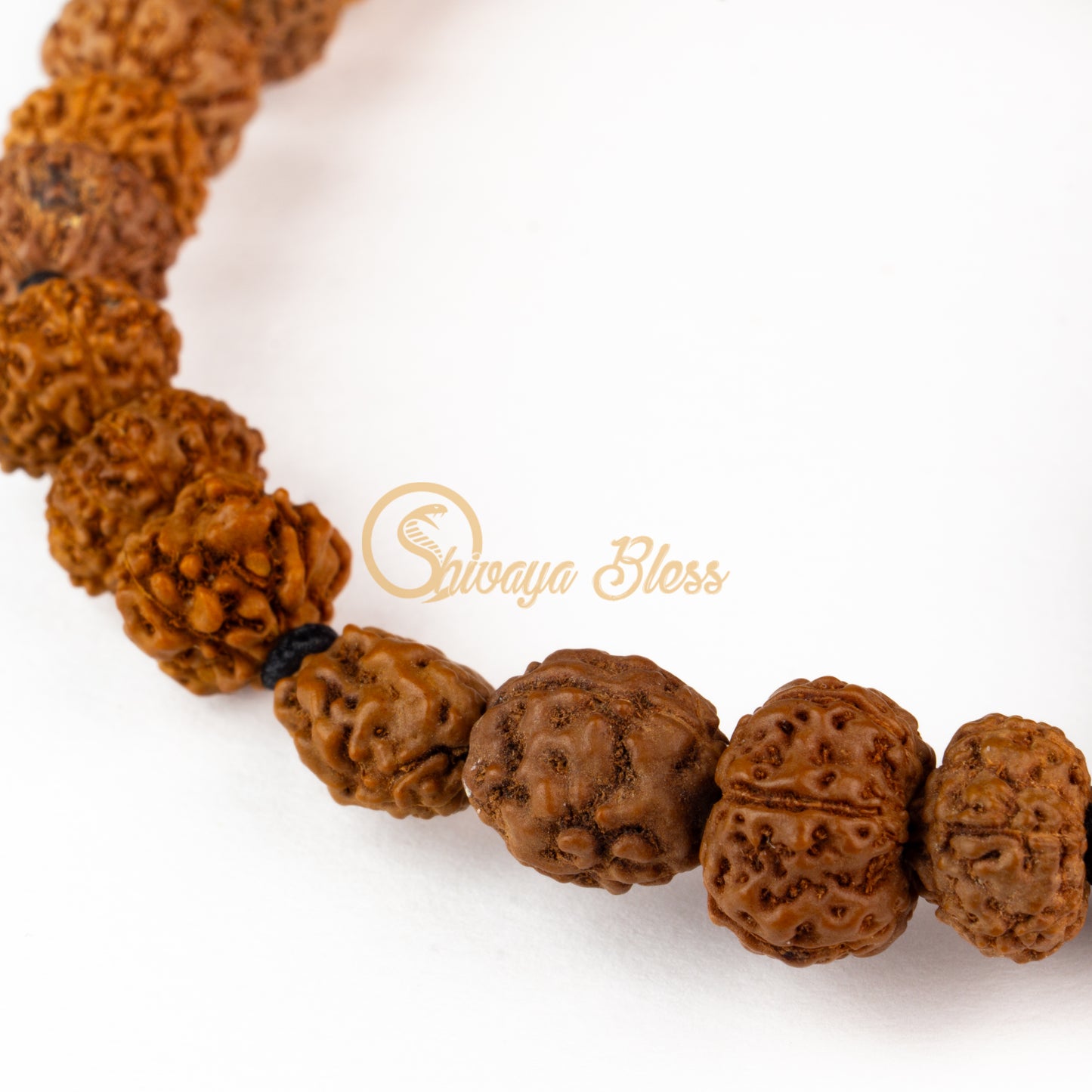 Capricorn Zodiac Rudraksha Bracelet