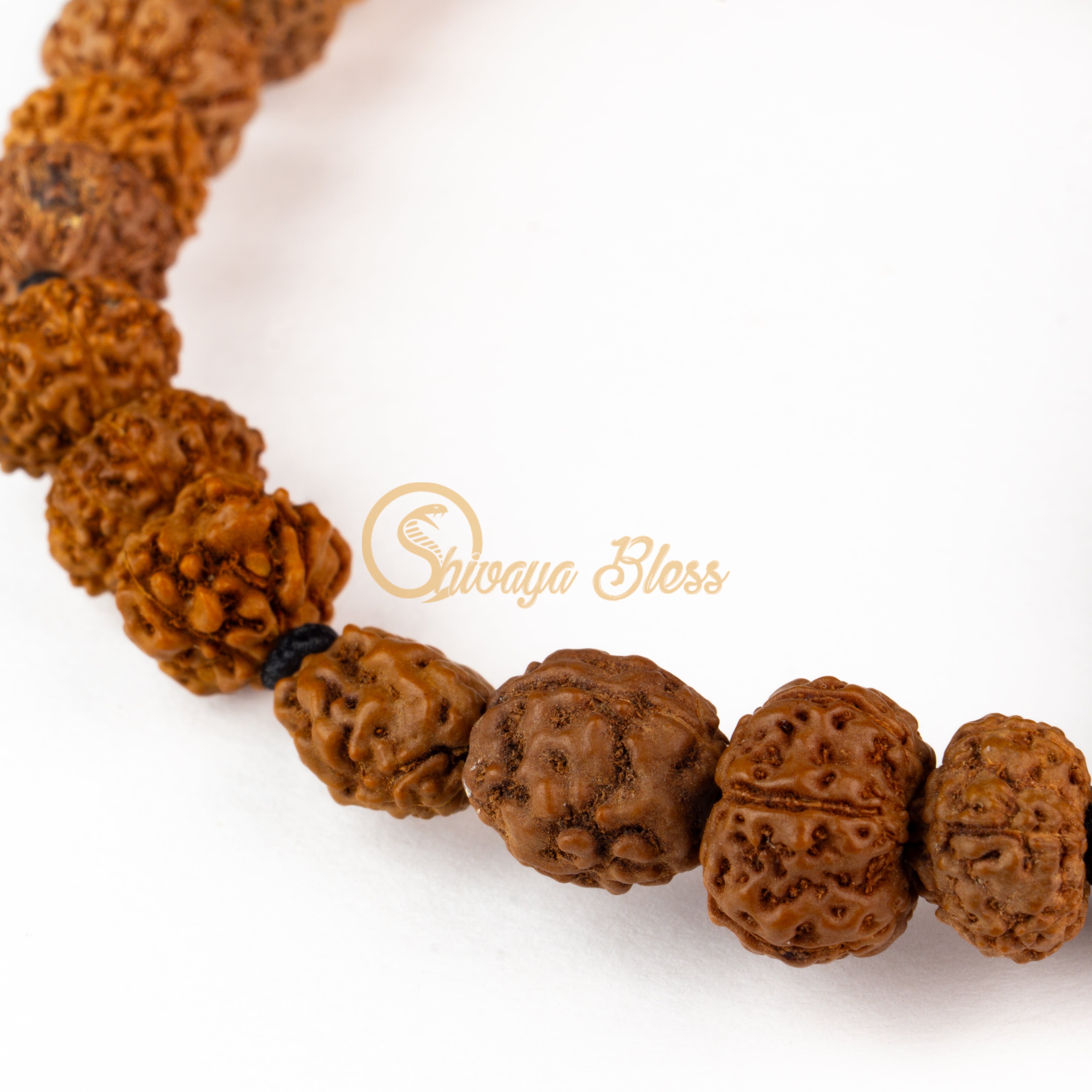 Capricorn Zodiac Rudraksha Pendant Necklace