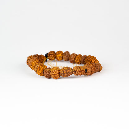 Capricorn Zodiac Rudraksha Bracelet