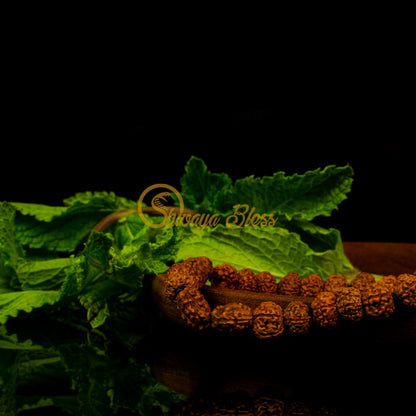 Capricorn Zodiac Rudraksha Bracelet