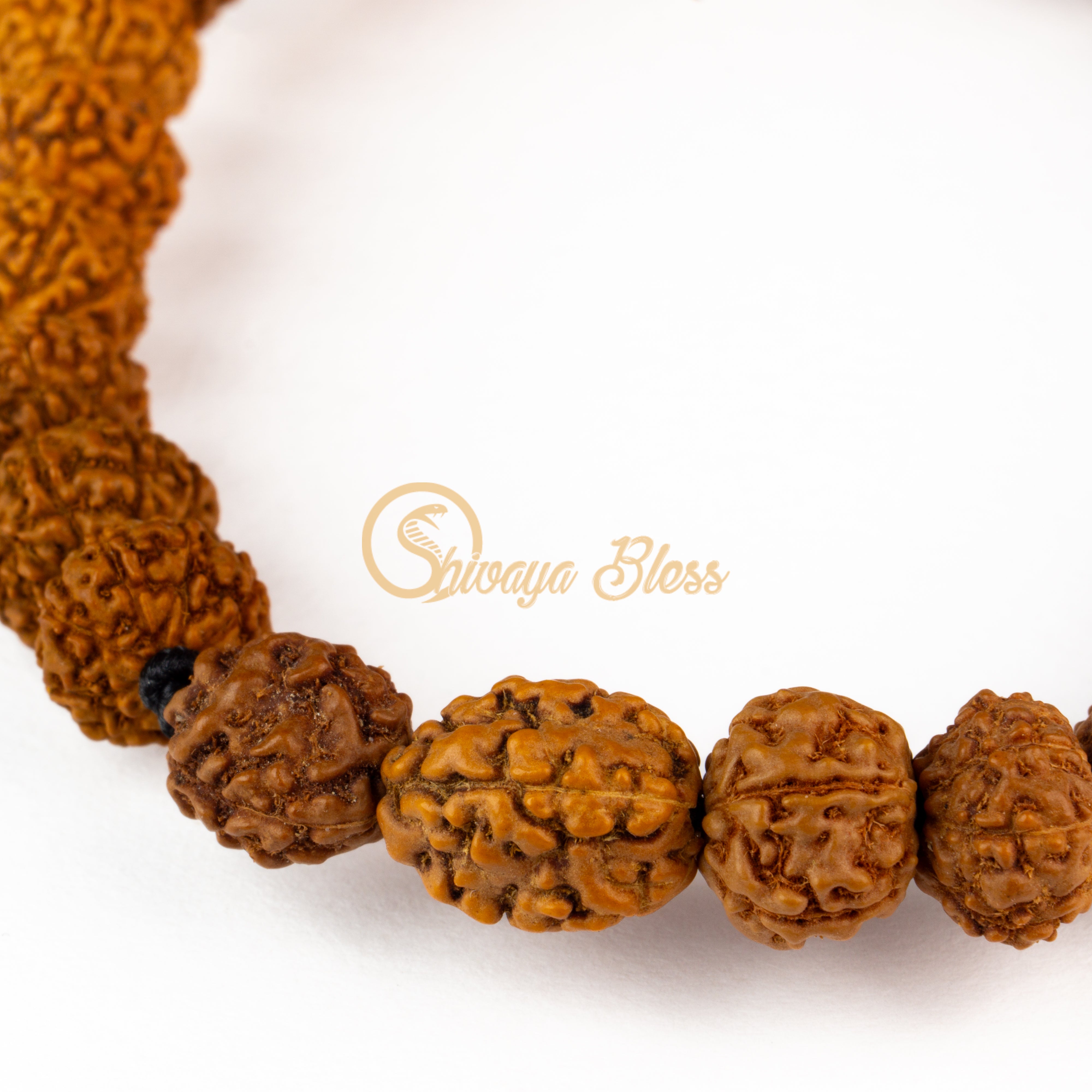 Pisces Zodiac Rudraksha Pendant Necklace