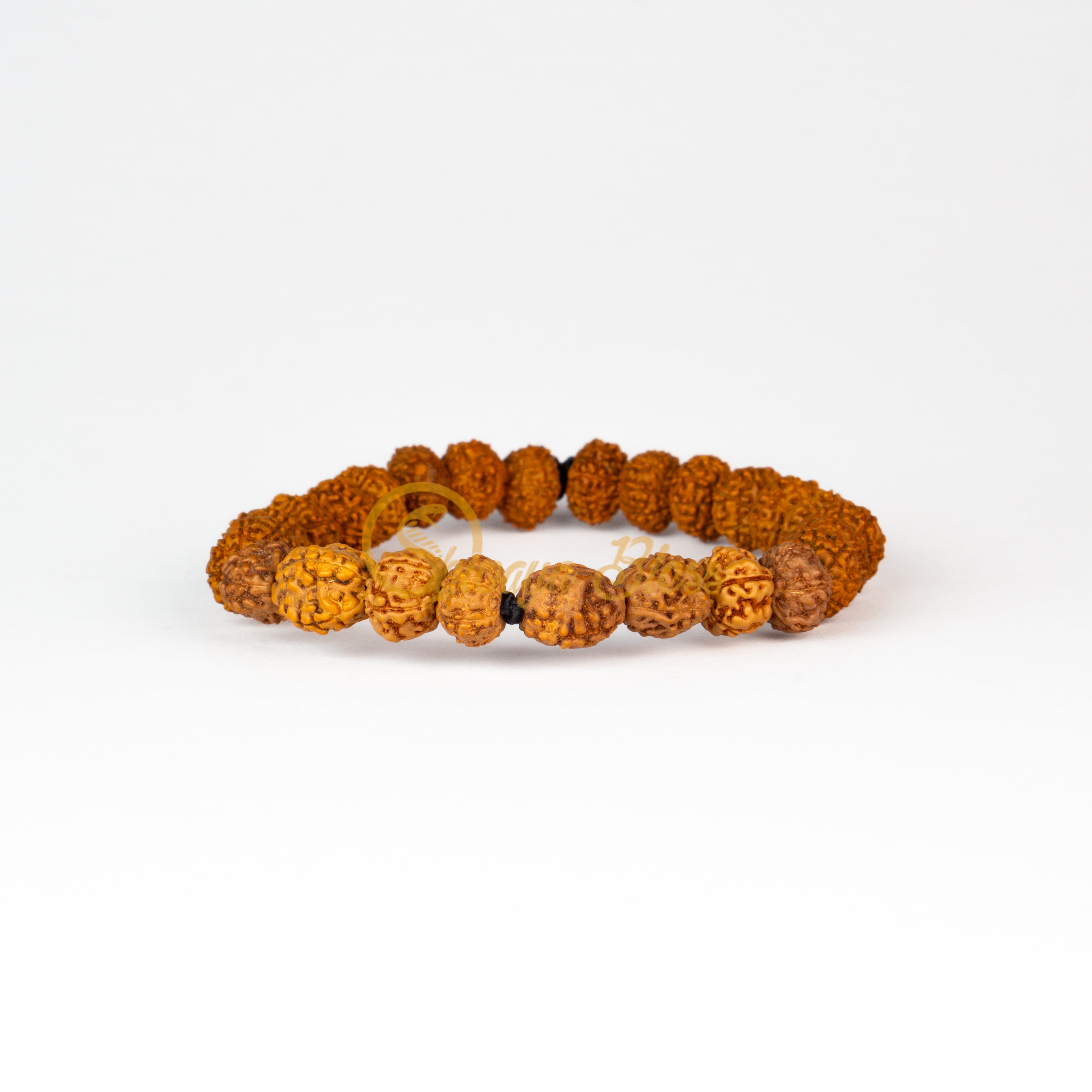 Pisces Zodiac Rudraksha Pendant Necklace