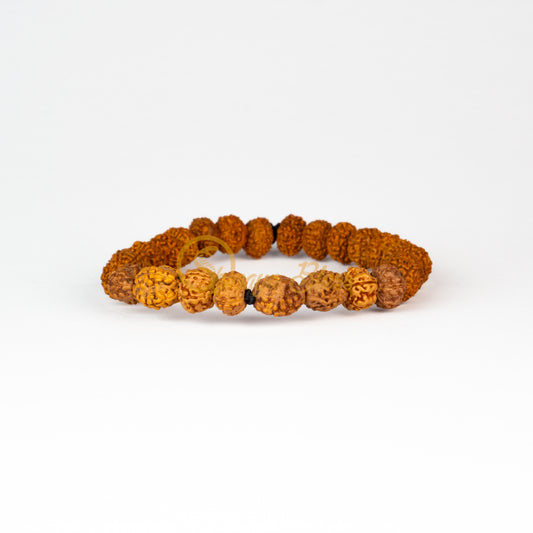 Meenam Rasi Rudraksha Bracelet