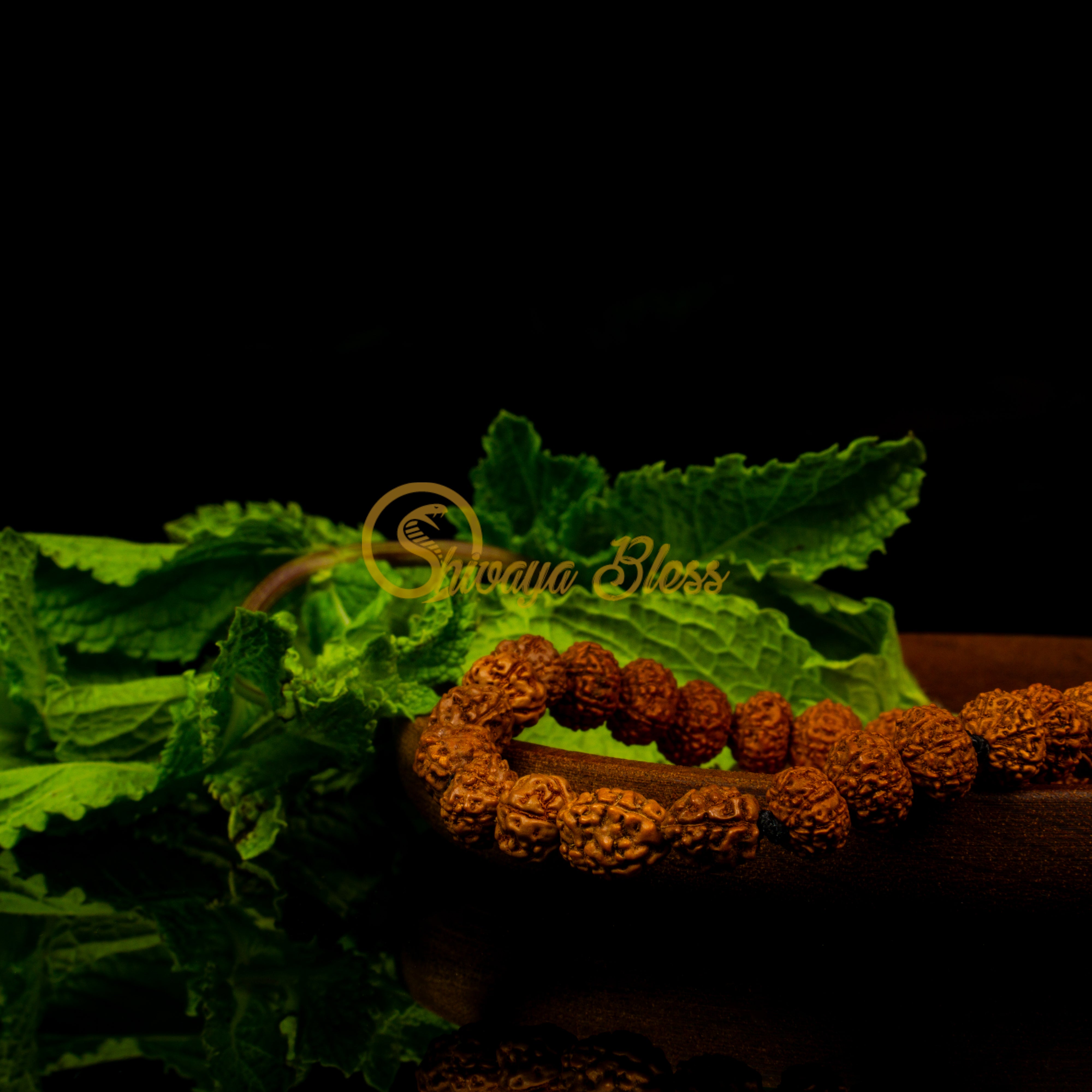 Pisces Zodiac Rudraksha Pendant Necklace