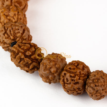 Mesham Rasi Rudraksha Bracelet