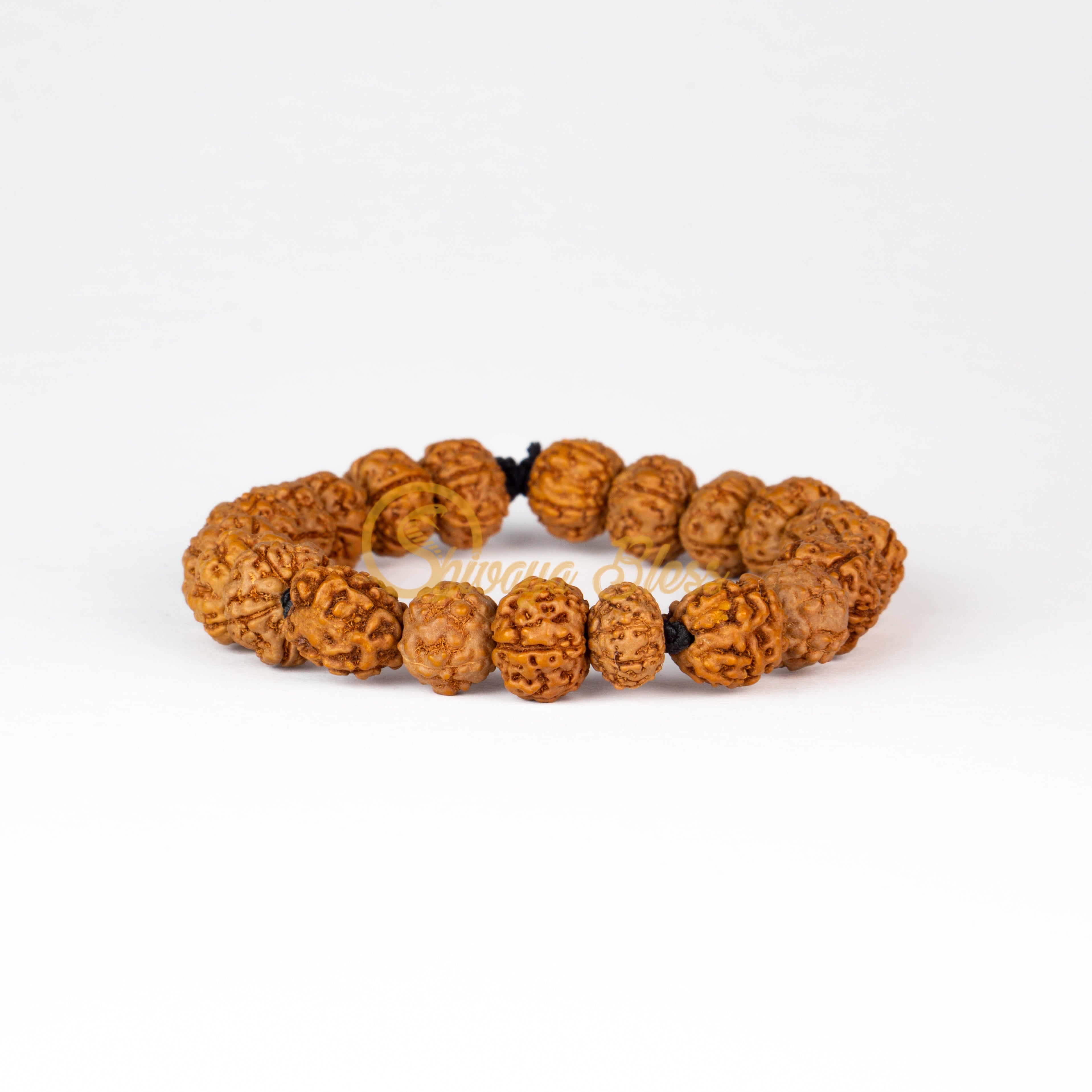 Mesham Rasi Rudraksha Bracelet
