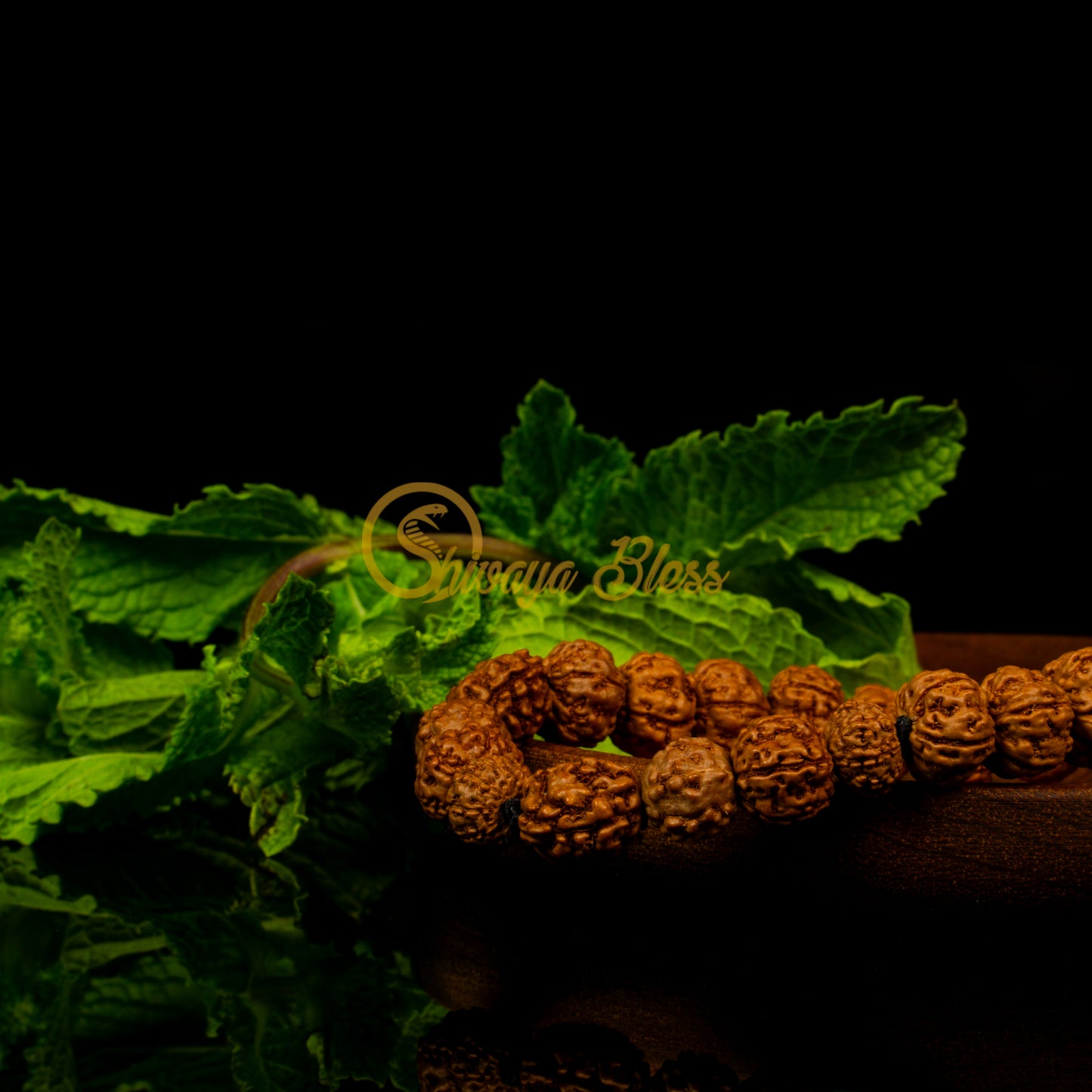 Mesham Rasi Rudraksha Bracelet