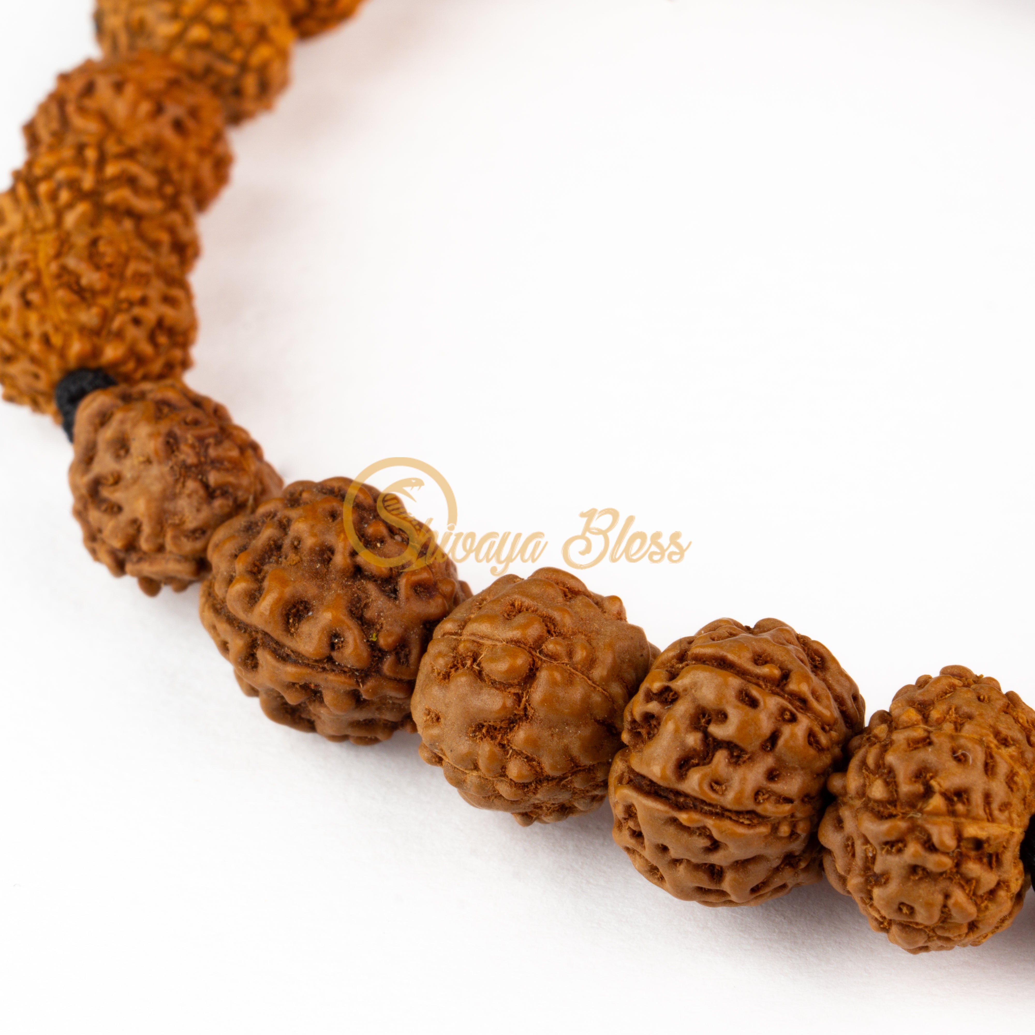 Mithunam Rasi Rudraksha Bracelet