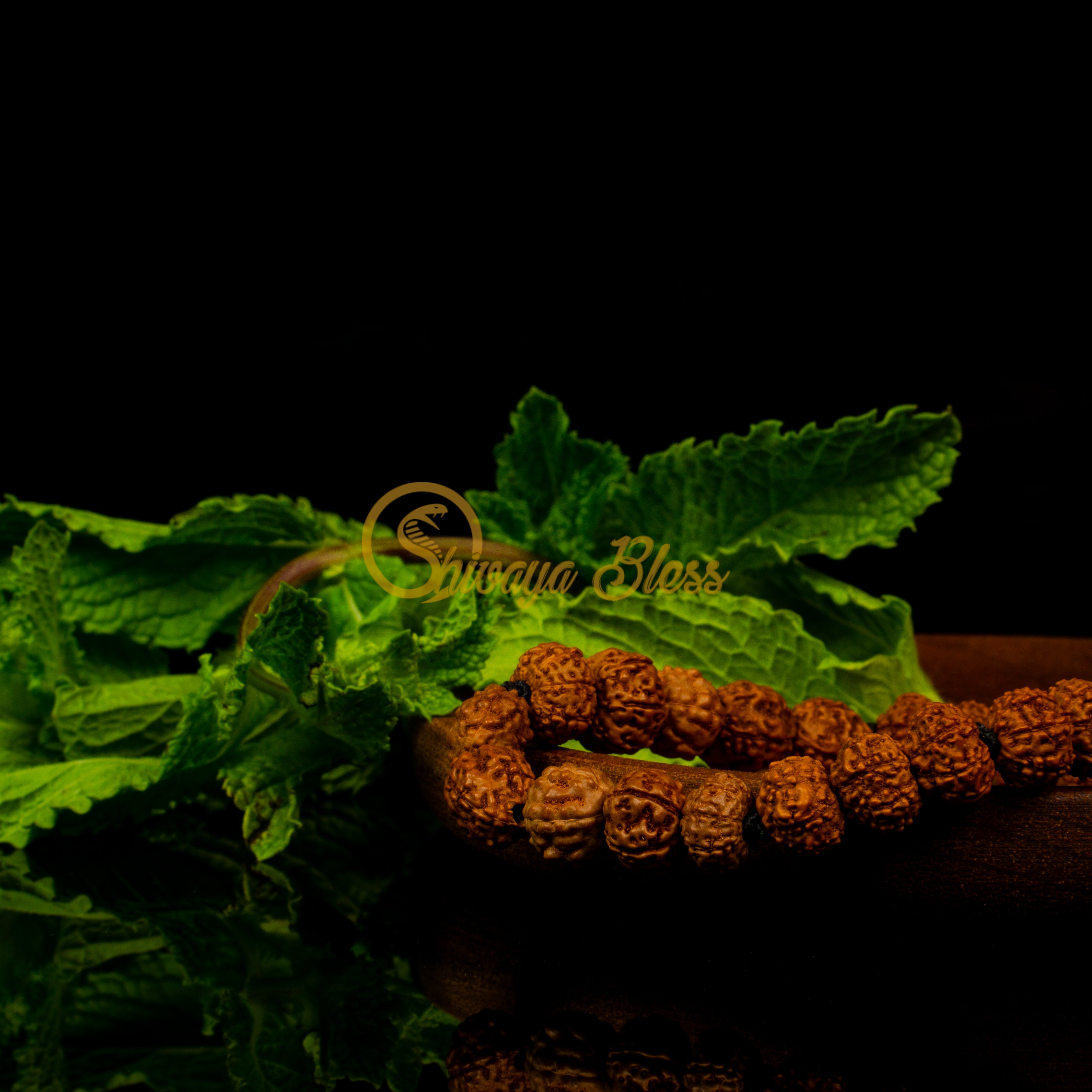 Mithunam Rasi Rudraksha Bracelet