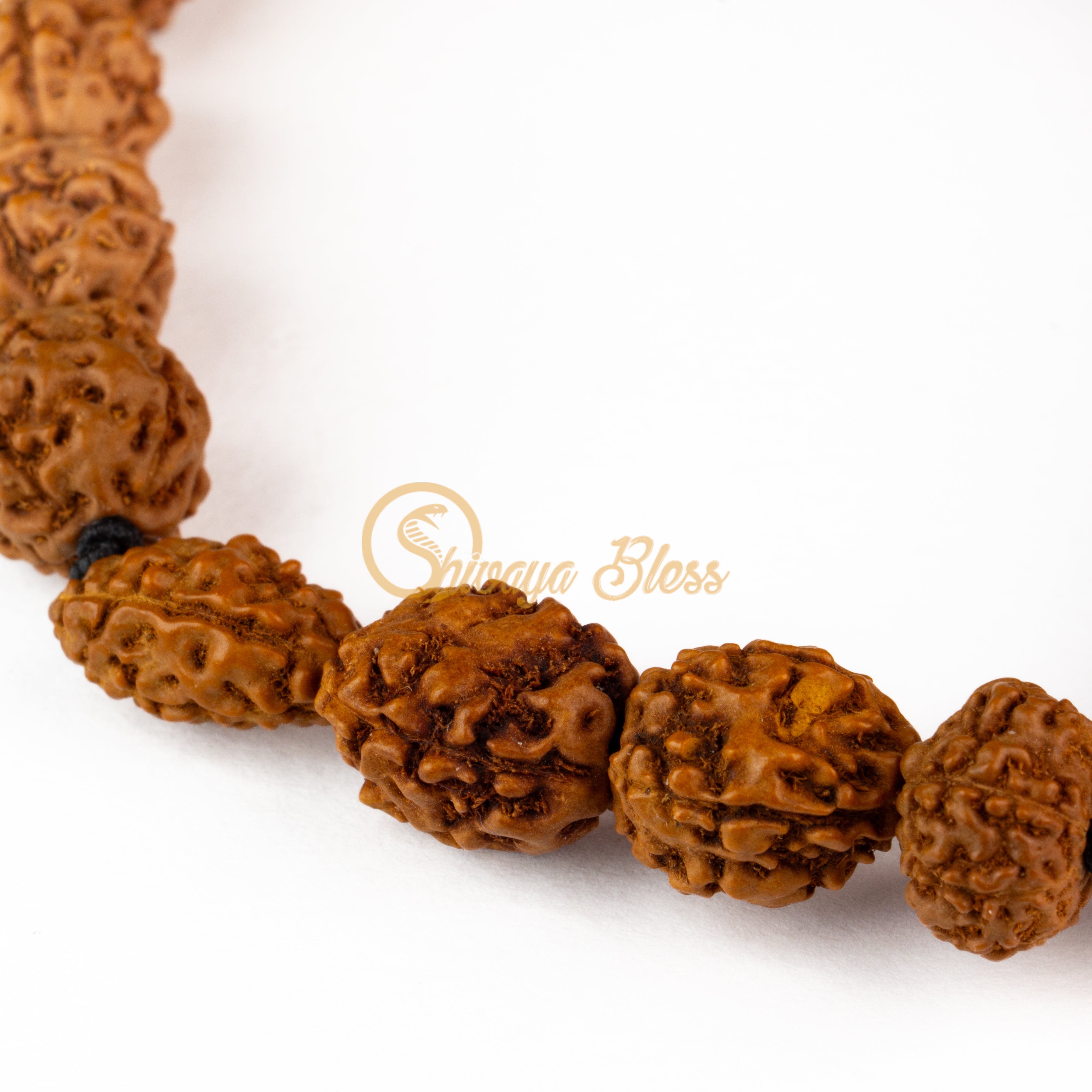 Taurus Zodiac Rudraksha Bracelet