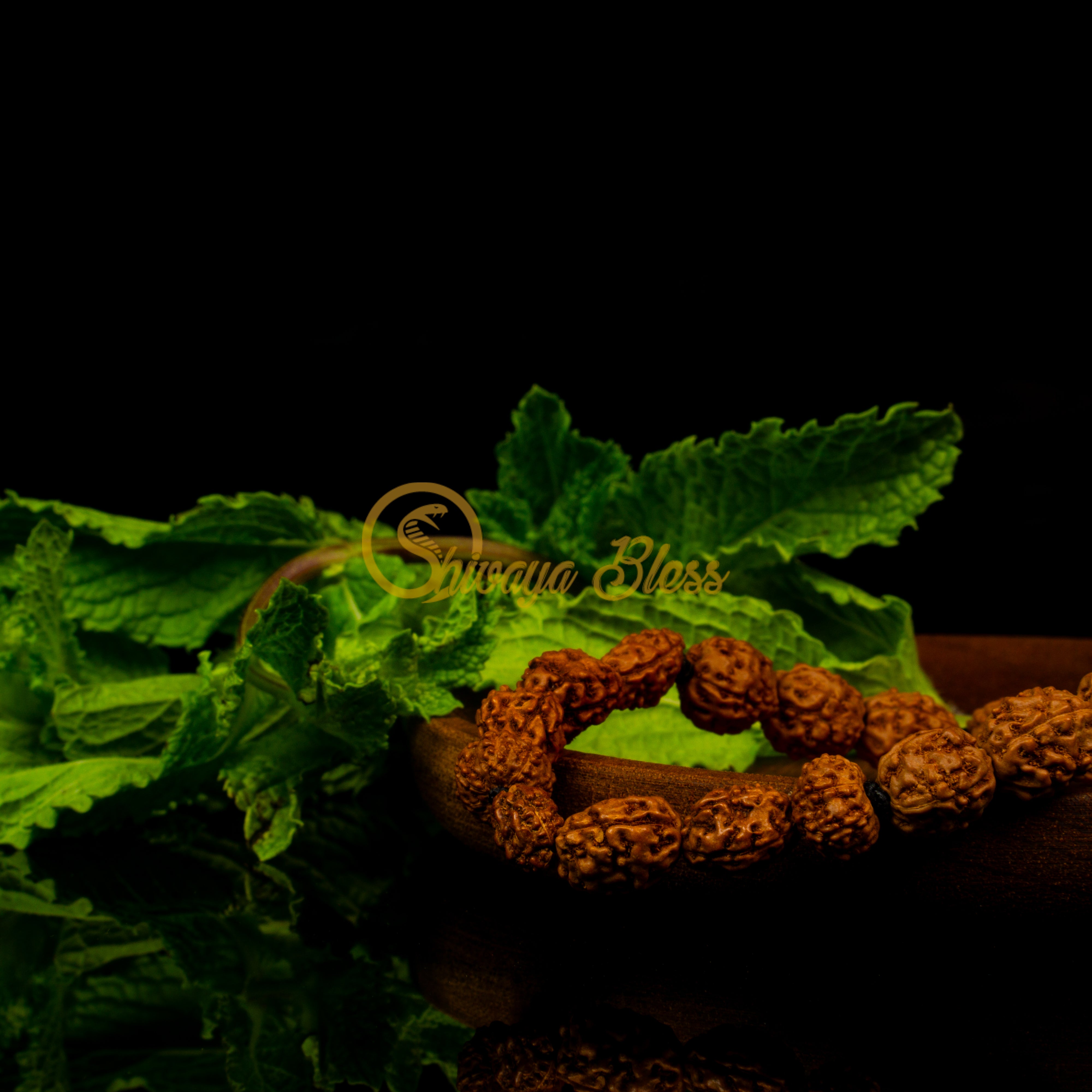 Taurus Zodiac Rudraksha Bracelet